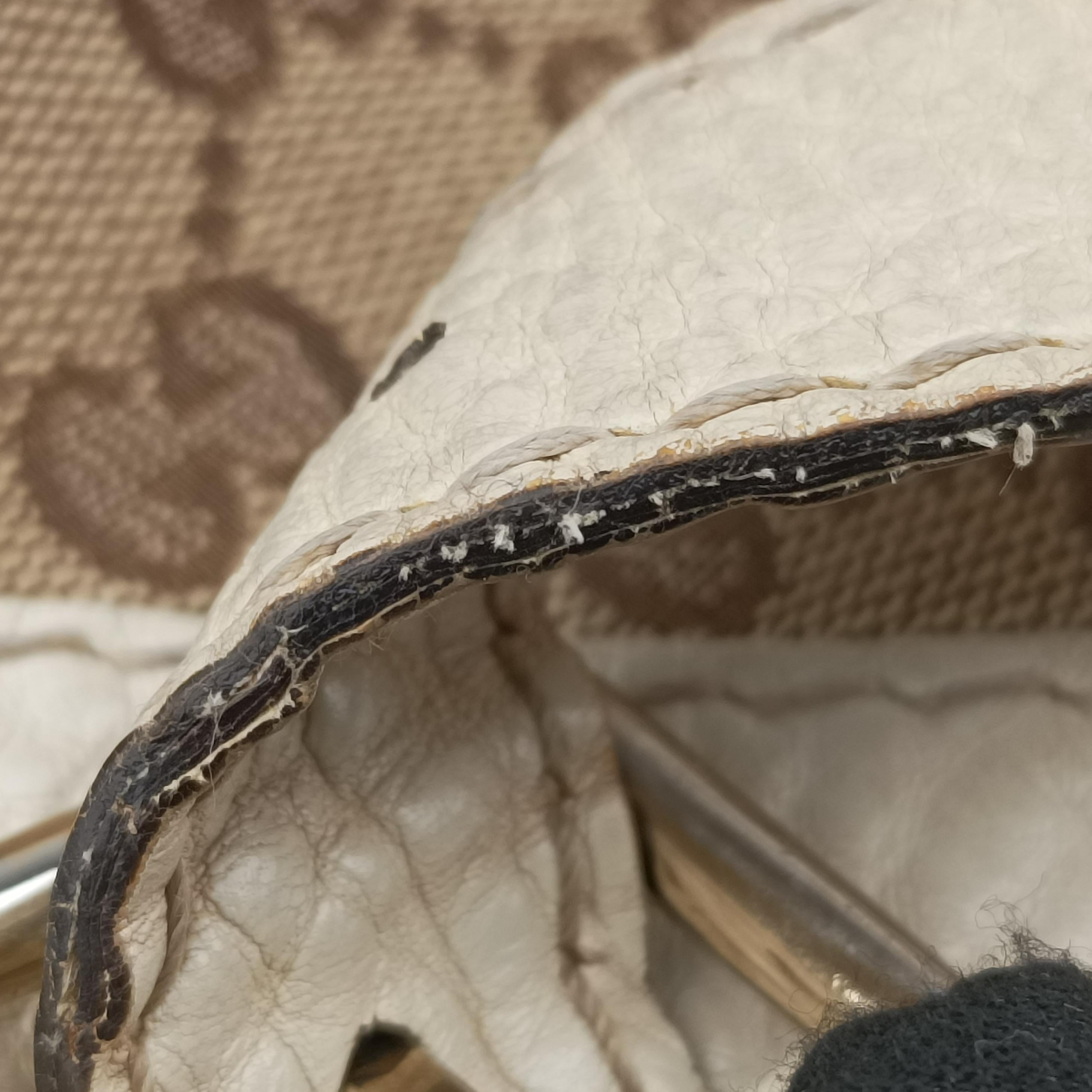 Pre-owned Gucci Charlotte Hobo Brown×White canvas×leather 203504 shoulderbag | stylenewstar