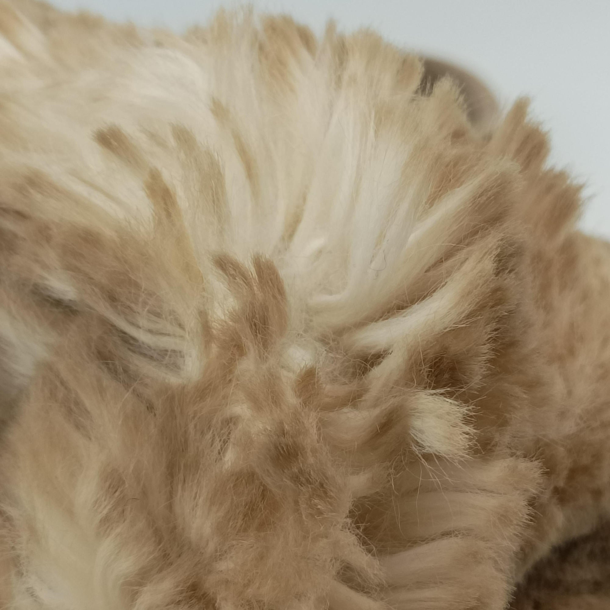 Pre-owned Prada Canapa Ecolapin Beige fur  handbag | stylenewstar