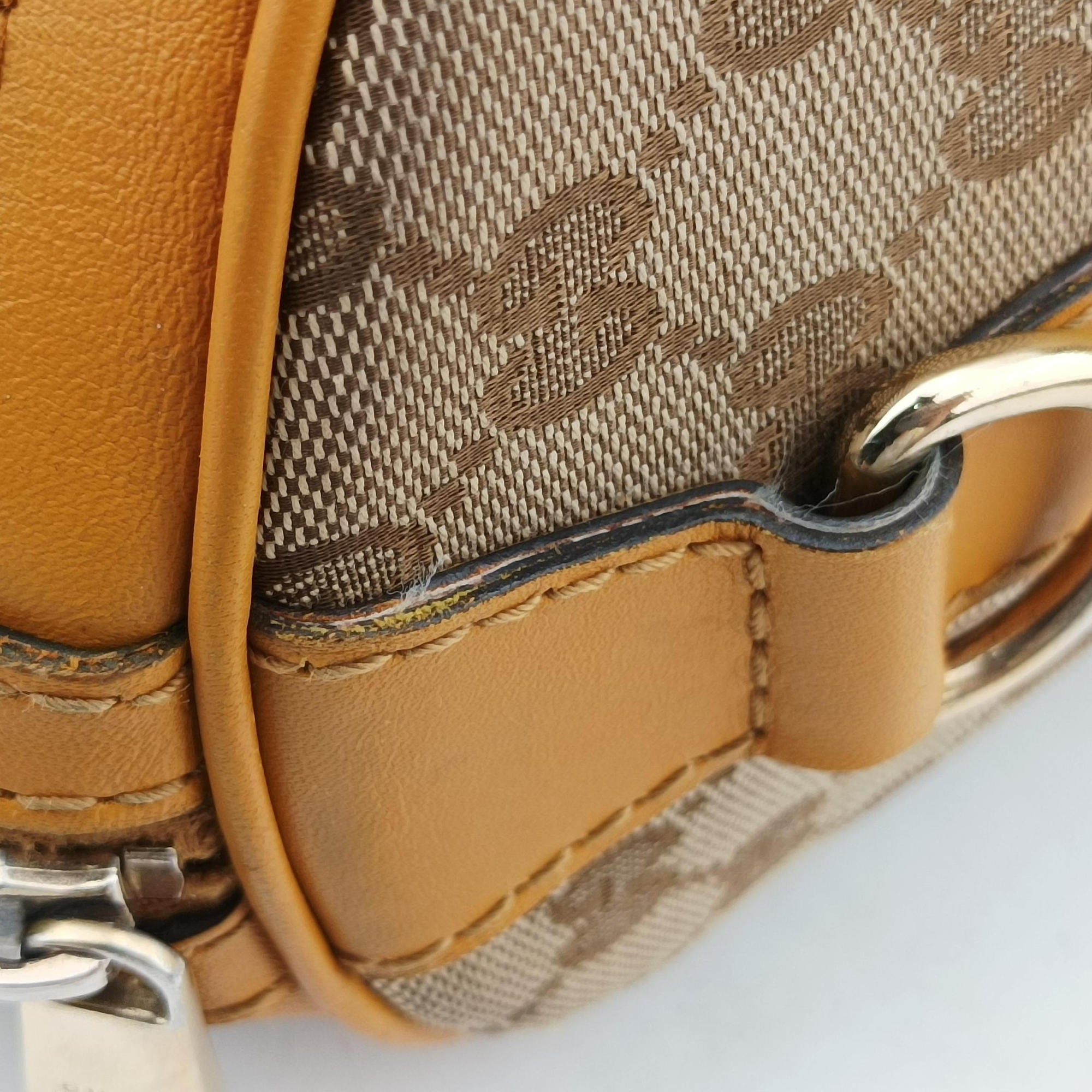 Pre-owned Gucci Sherry Line Beige×yellow×green canvas×Leather 247205 shoulderbag | stylenewstar