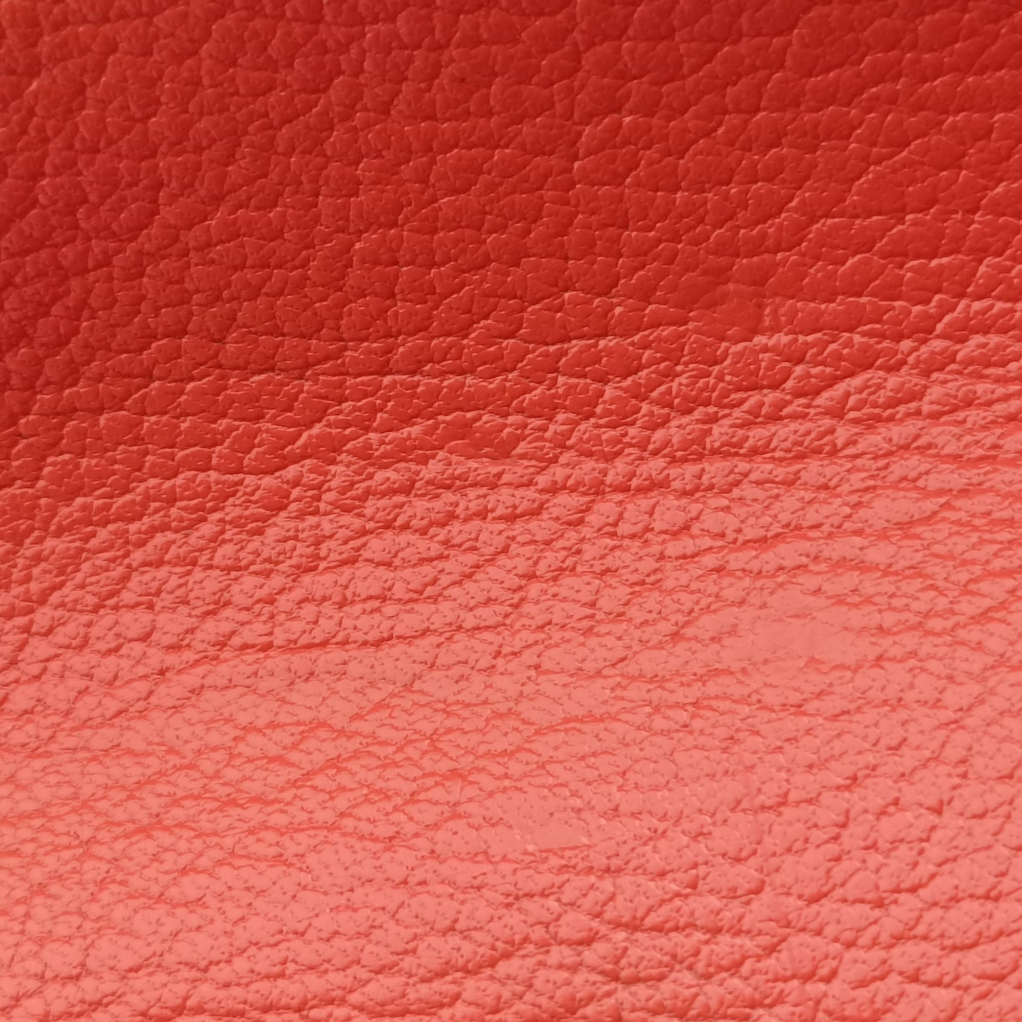 Secondhand Loewe Amazona 28 Orange × Multicolor Leather  handbag | stylenewstar