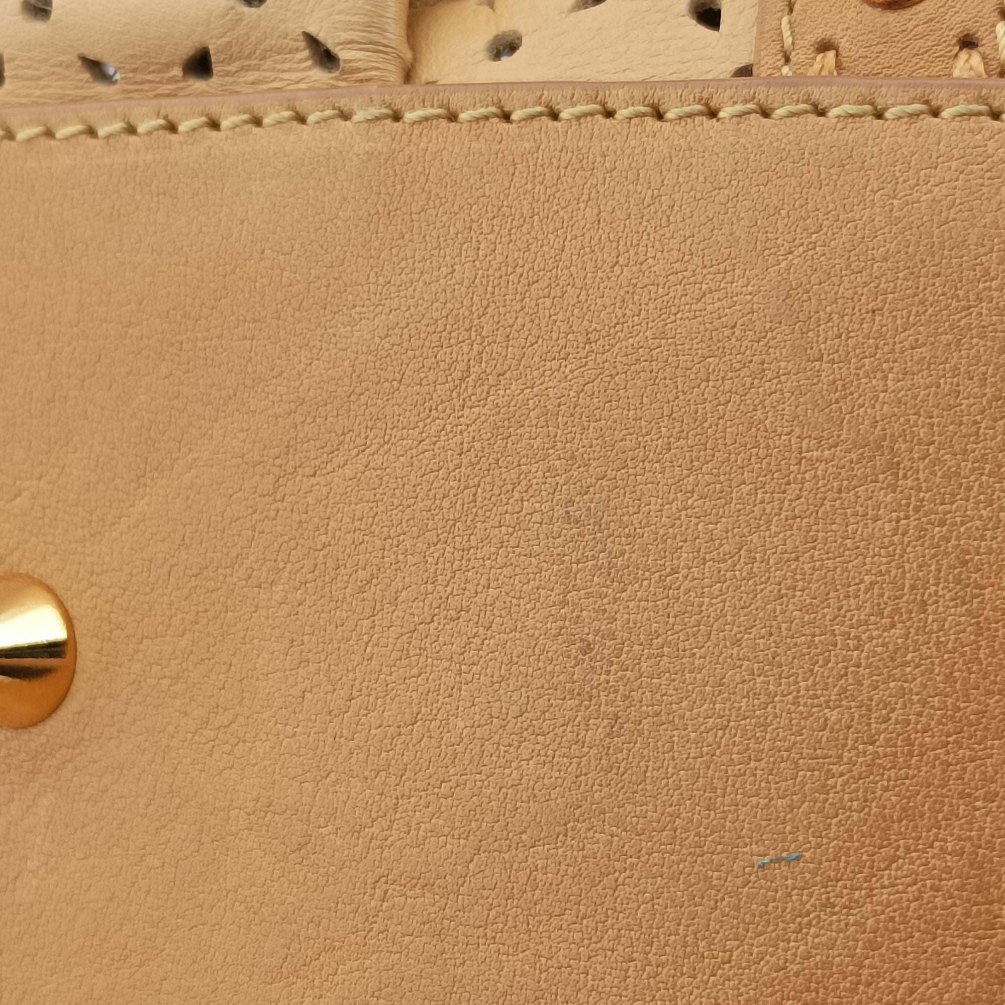 Pre-owned Christian Dior Savane Chic Miel Beige Leather  handbag | stylenewstar