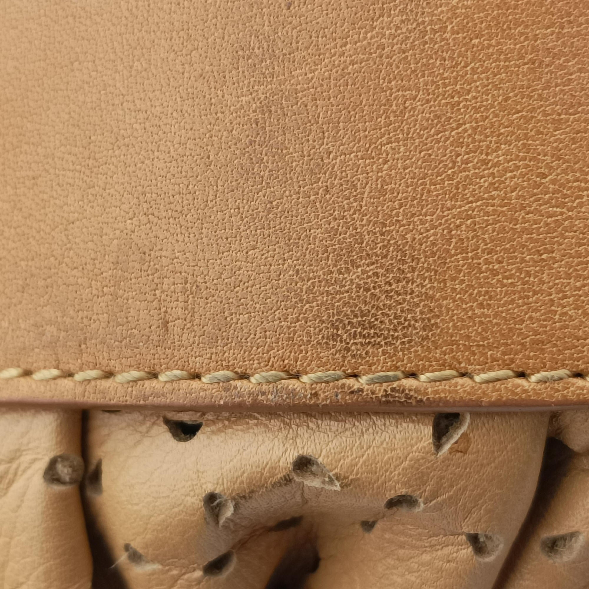 Pre-owned Christian Dior Savane Chic Miel Beige Leather  handbag | stylenewstar