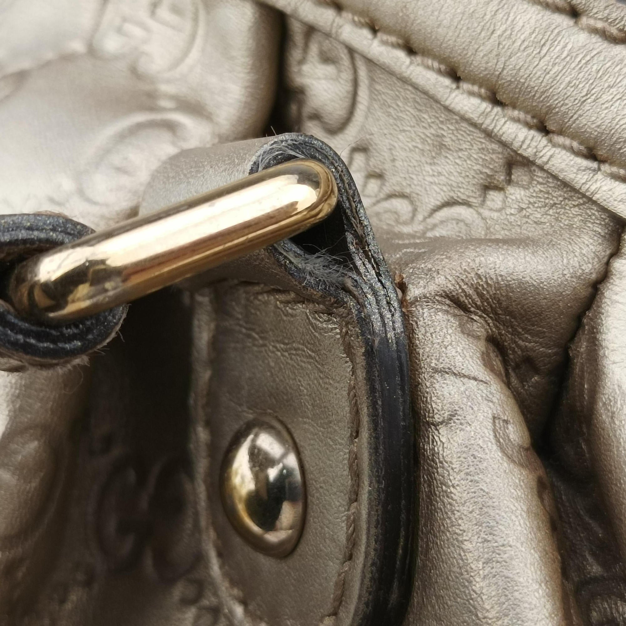 Pre-owned Gucci Sukey Guccissima Golden Leather 223974 shoulderbag | stylenewstar