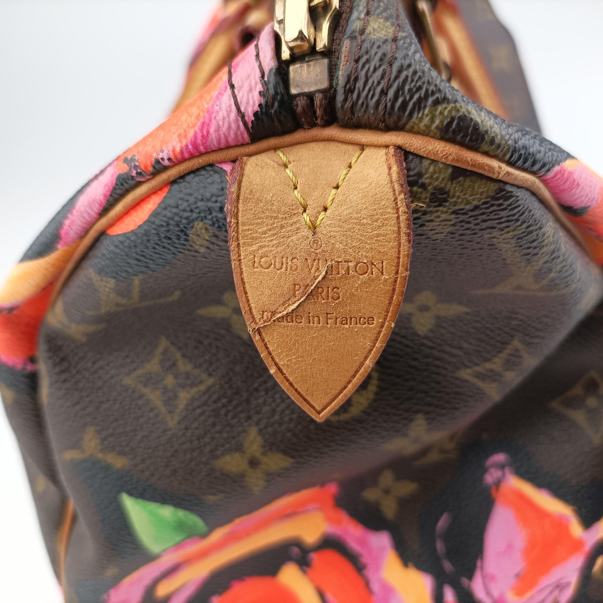 Vintage Louis Vuitton SPEEDY30 brown×Multicolor Monogram Canvas M48610 handbag | stylenewstar