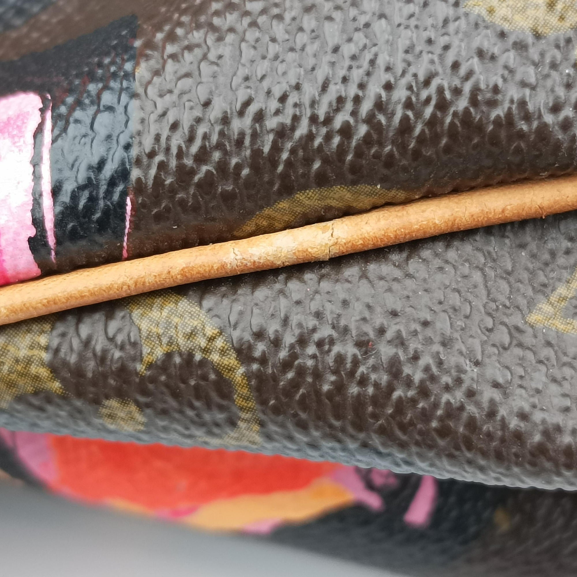 Vintage Louis Vuitton SPEEDY30 brown×Multicolor Monogram Canvas M48610 handbag | stylenewstar
