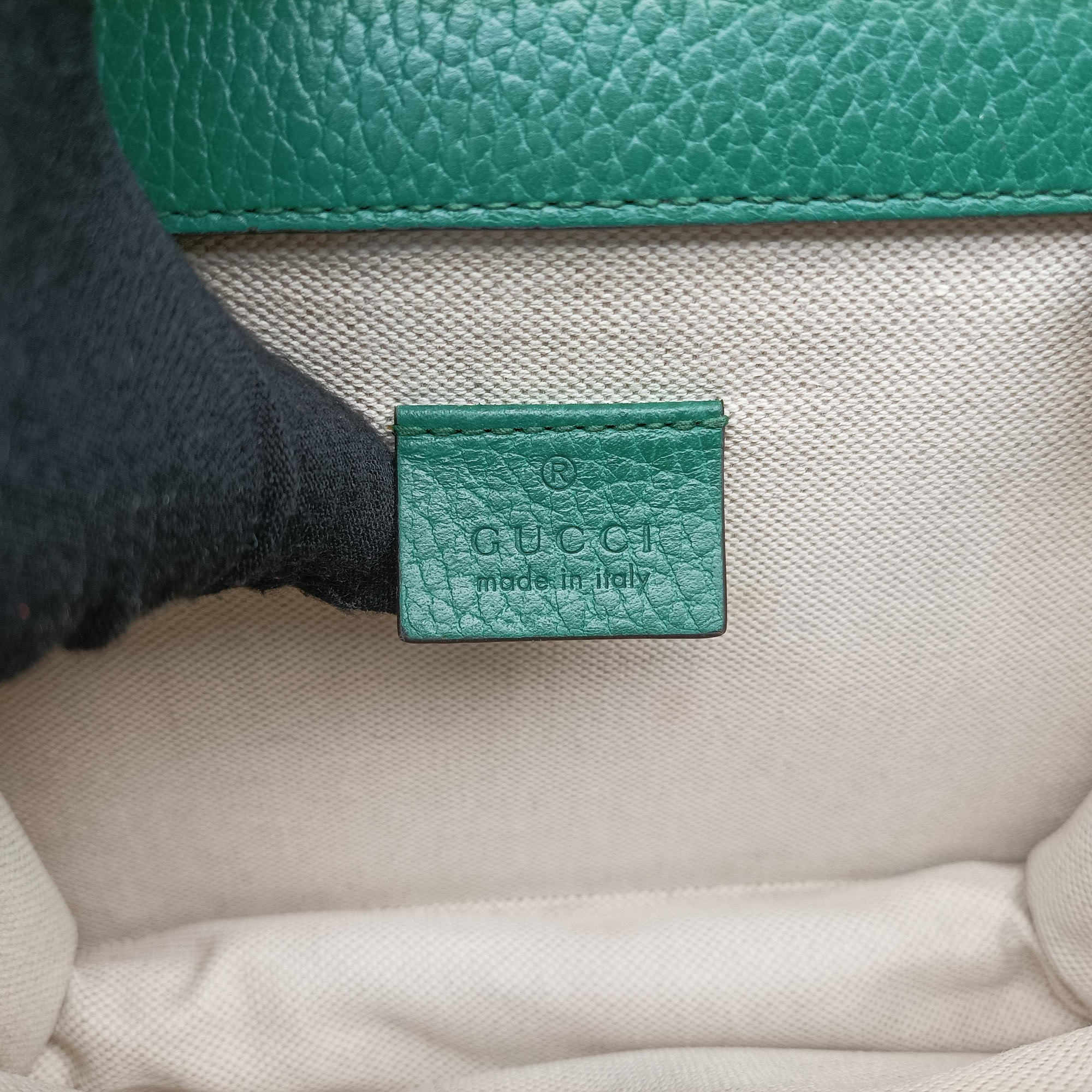 Pre-owned Gucci Dionysus Green Leather 421970 shoulderbag | stylenewstar