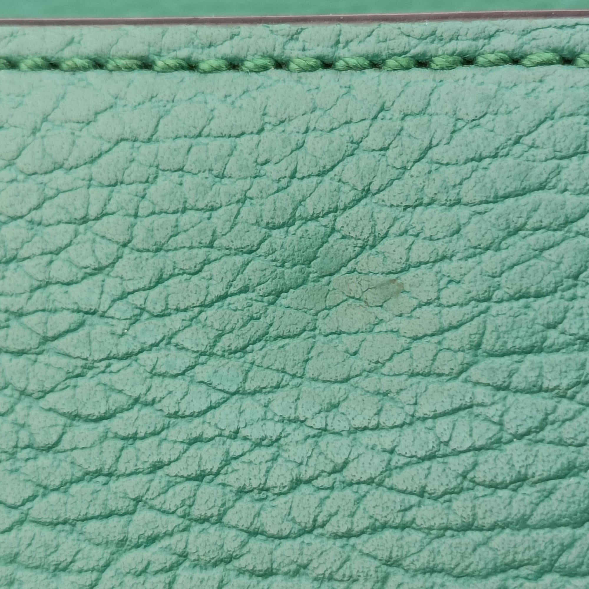Pre-owned Gucci Dionysus Green Leather 421970 shoulderbag | stylenewstar