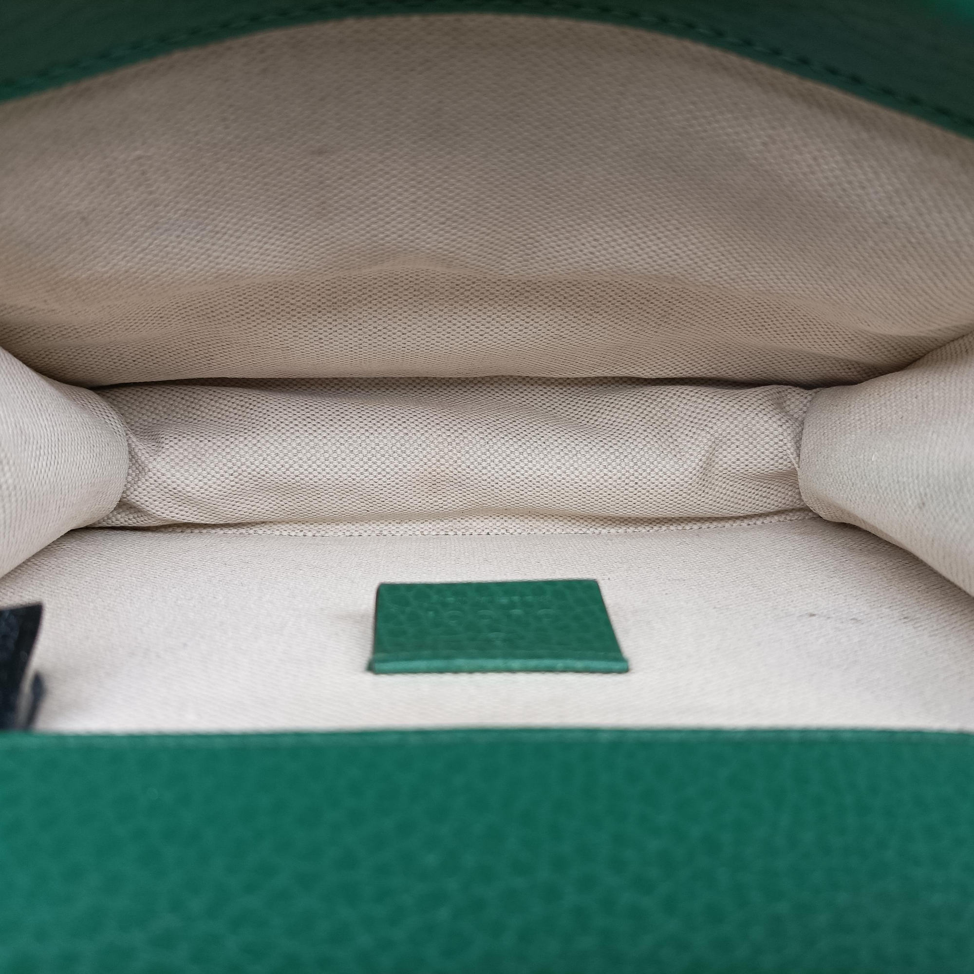 Pre-owned Gucci Dionysus Green Leather 421970 shoulderbag | stylenewstar