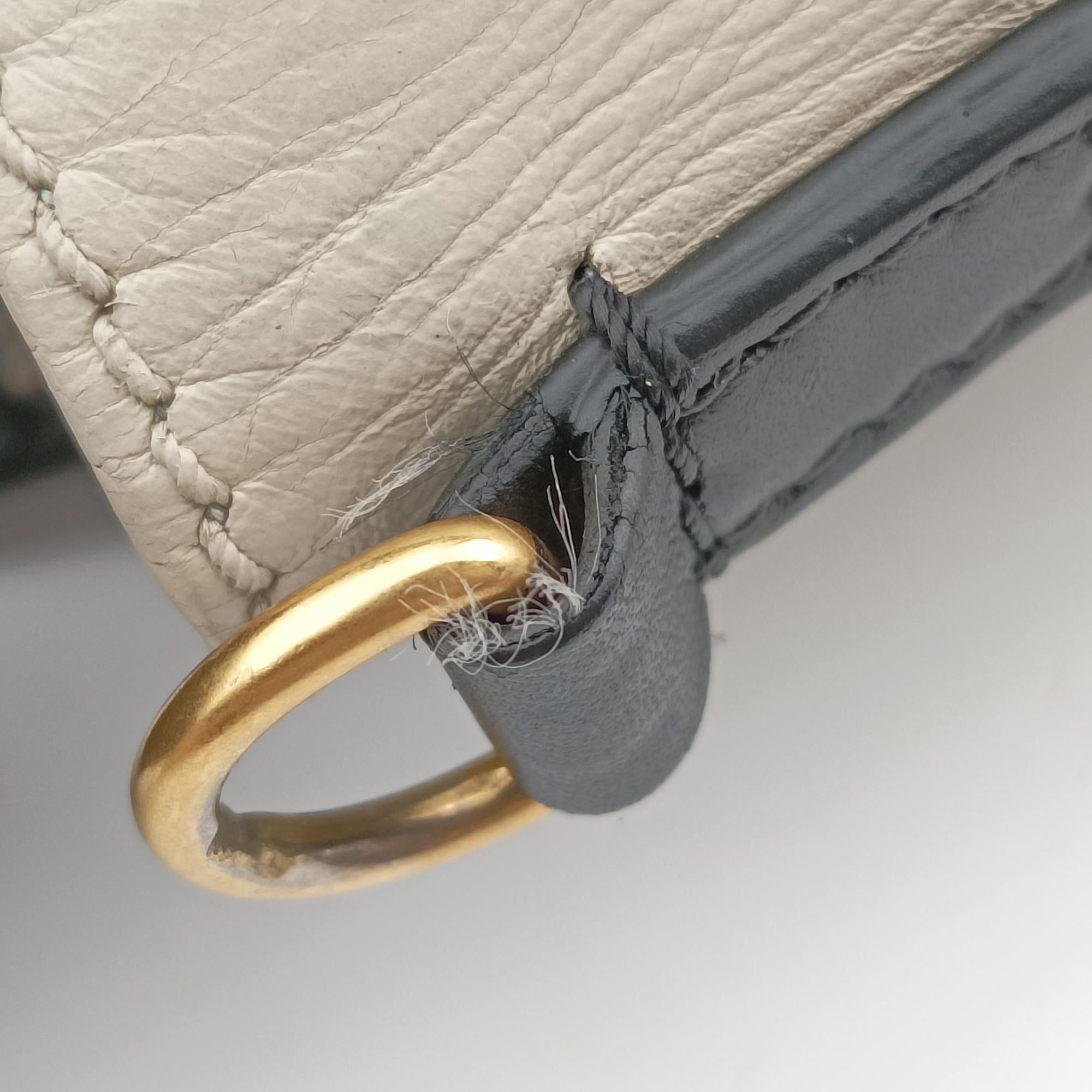 Pre-owned Celine luggage nano shopper Multicolour Leather  shoulderbag | stylenewstar