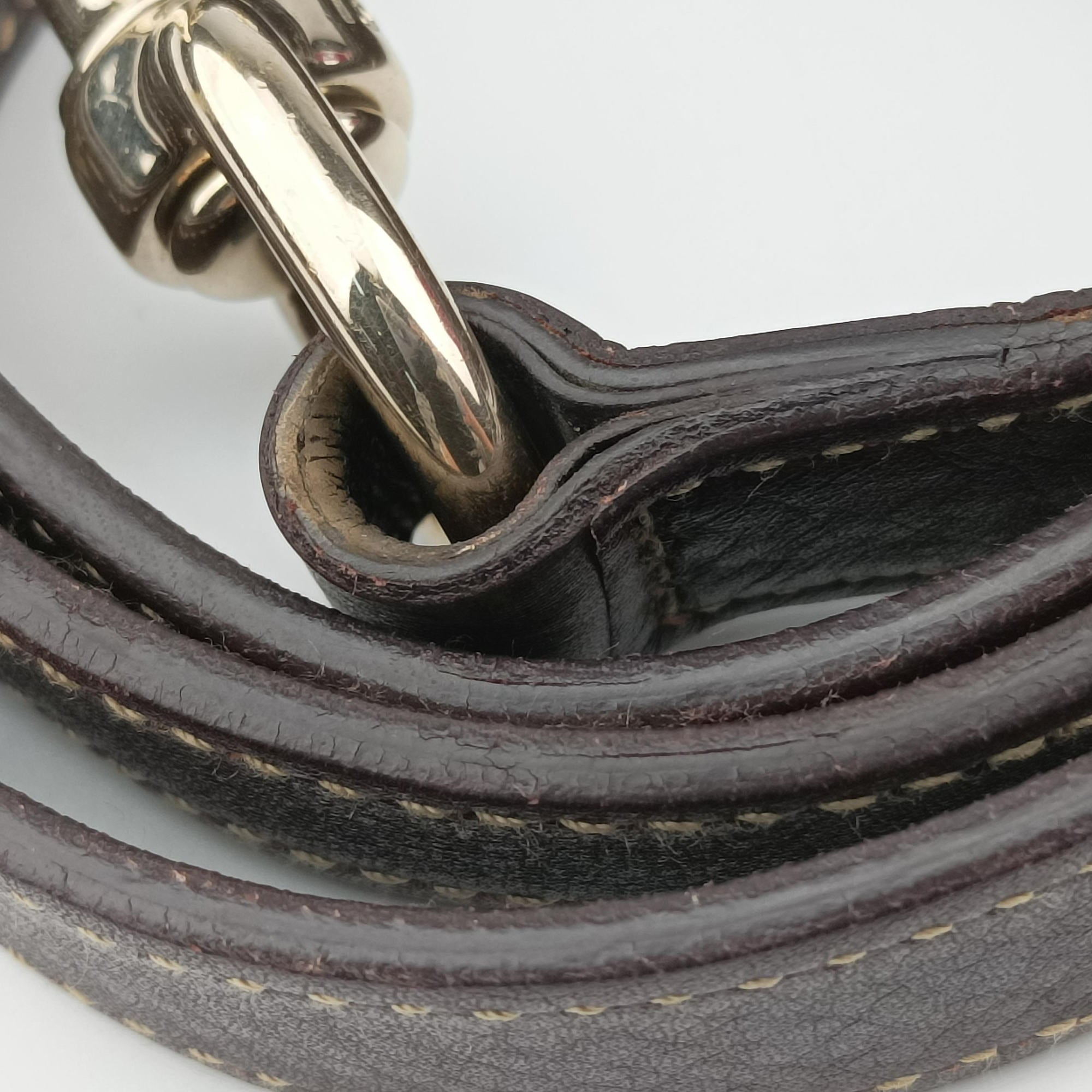 Pre-owned Gucci Dialux Britt Hobo Brown leather 162886 shoulderbag | stylenewstar