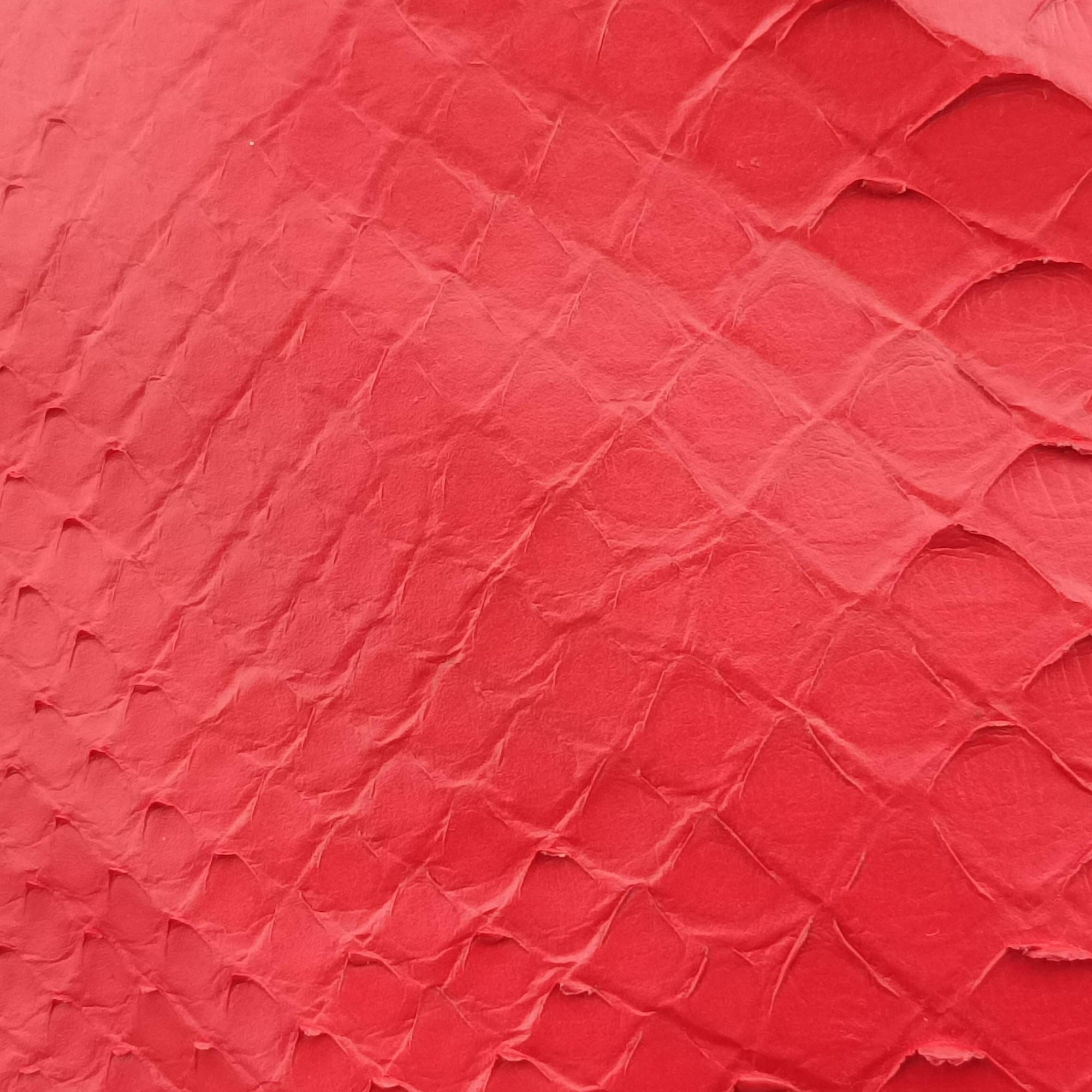 Vintage Celine Phantom Luggage Python Red snakeskin  handbag | stylenewstar