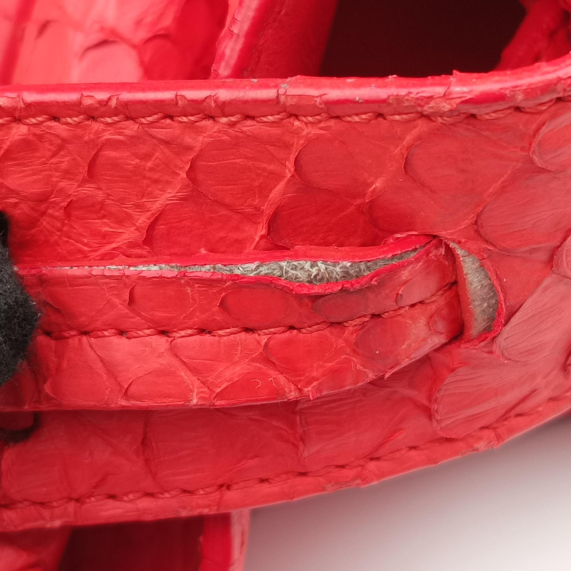 Vintage Celine Phantom Luggage Python Red snakeskin  handbag | stylenewstar