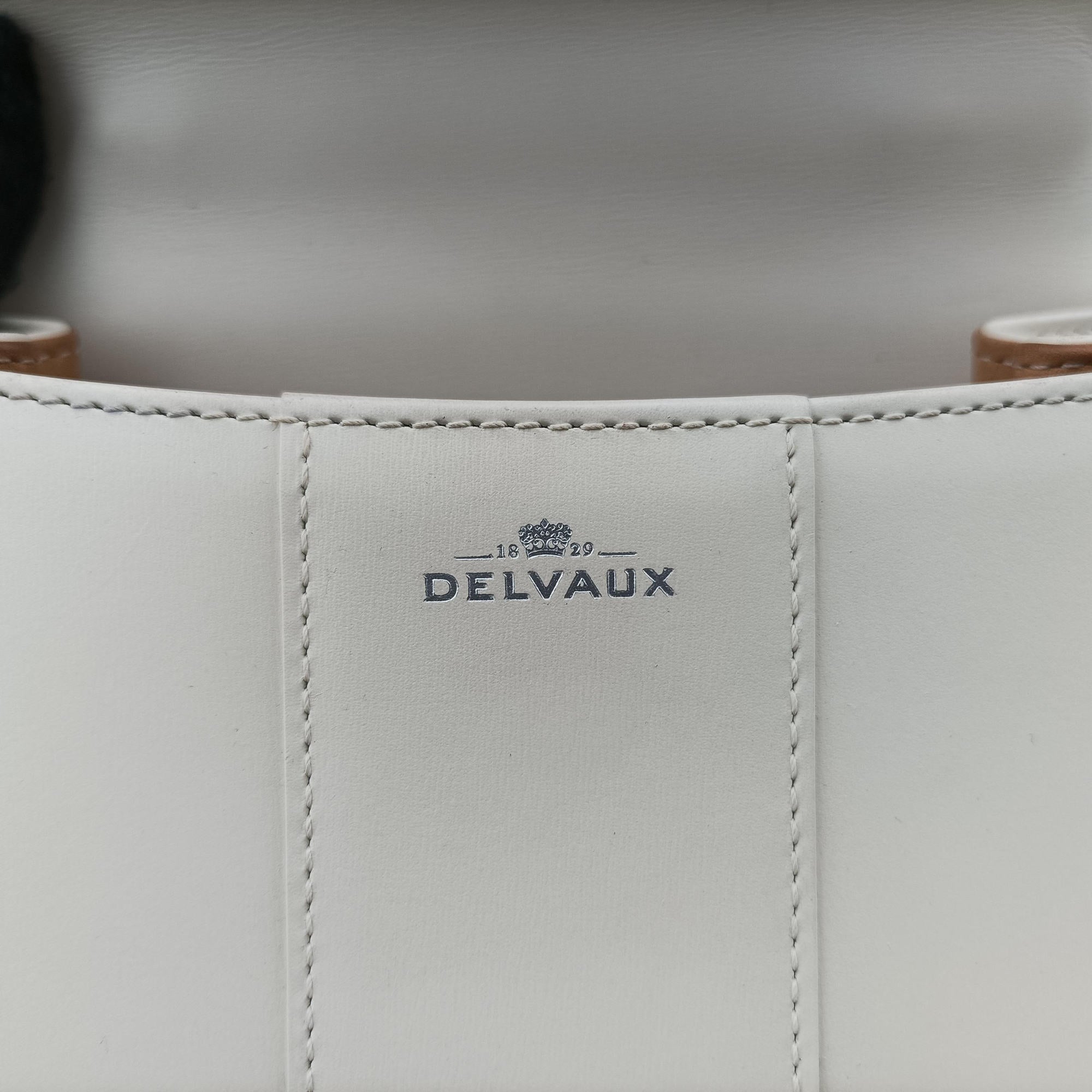 Pre-owned Delvaux Brillant mini White Leather  handbag | stylenewstar