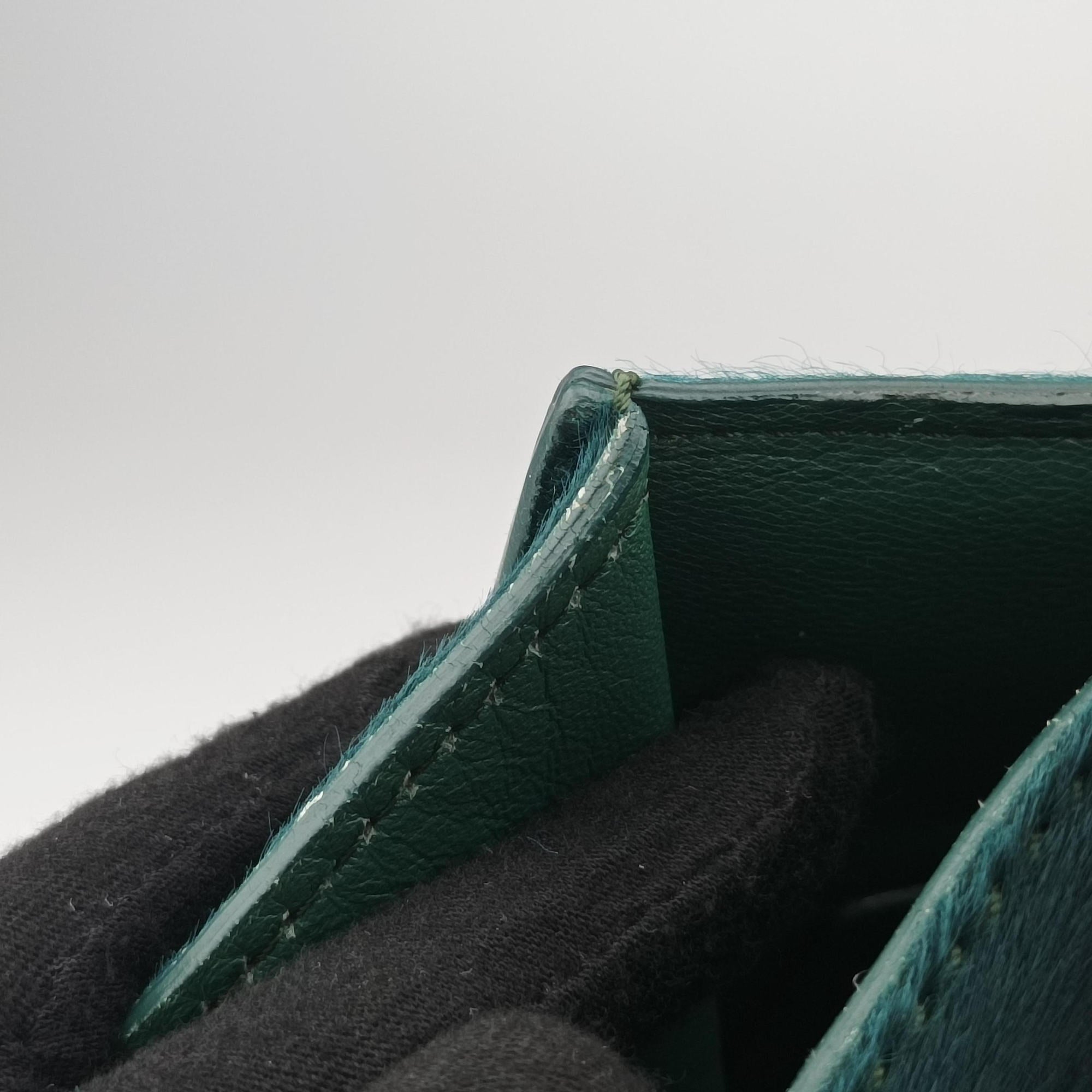 Pre-owned Celine Luggage Square Phantom Green Pony Hair  handbag | stylenewstar