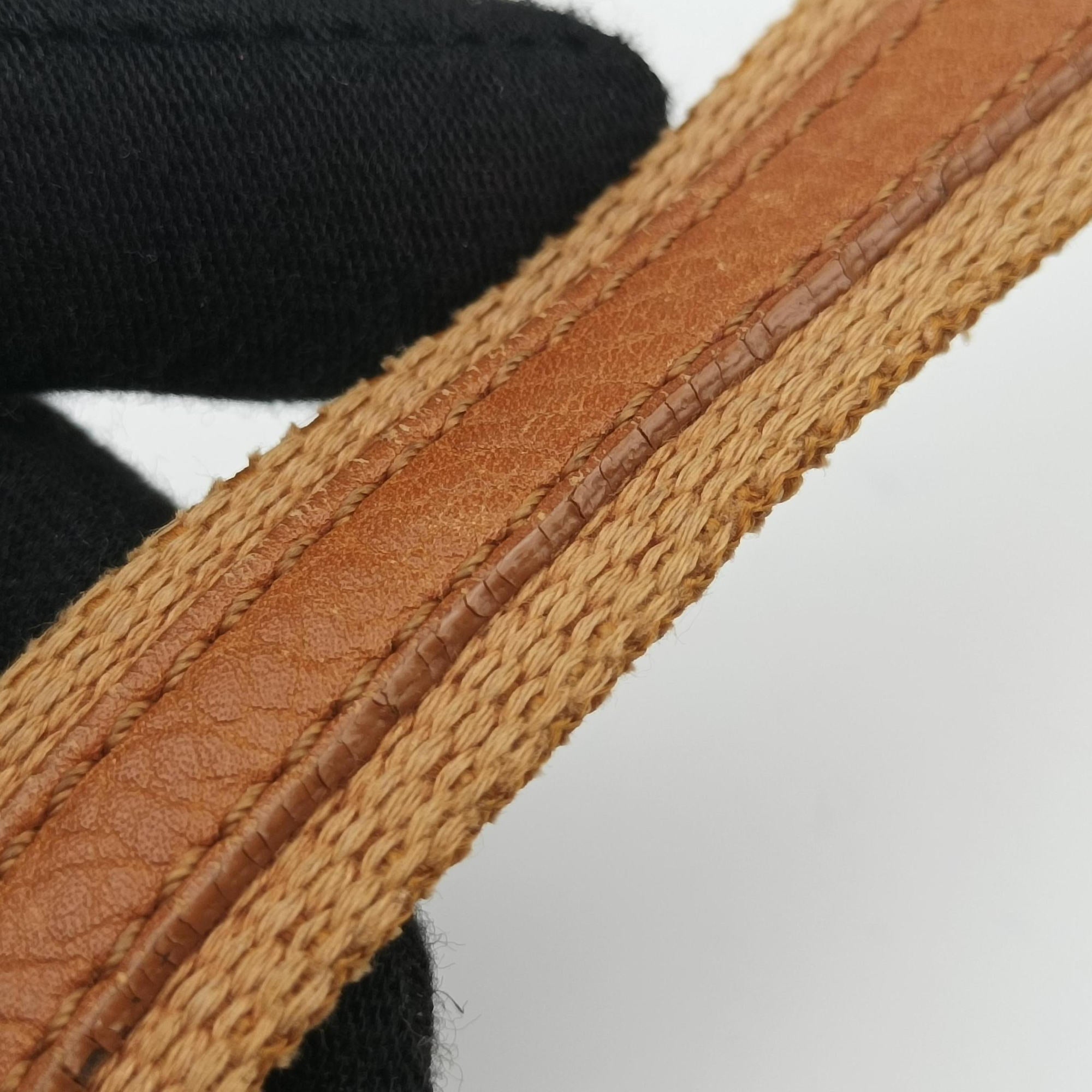 Pre-owned Christian Dior Street Chic Trotter Brown×Beige Canvas×Leather  handbag | stylenewstar
