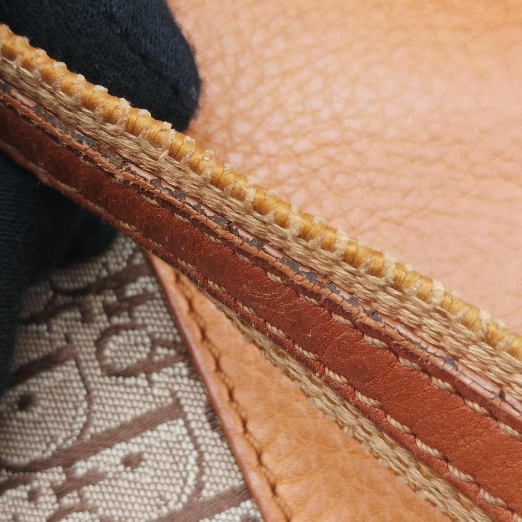 Pre-owned Christian Dior Street Chic Trotter Brown×Beige Canvas×Leather  handbag | stylenewstar