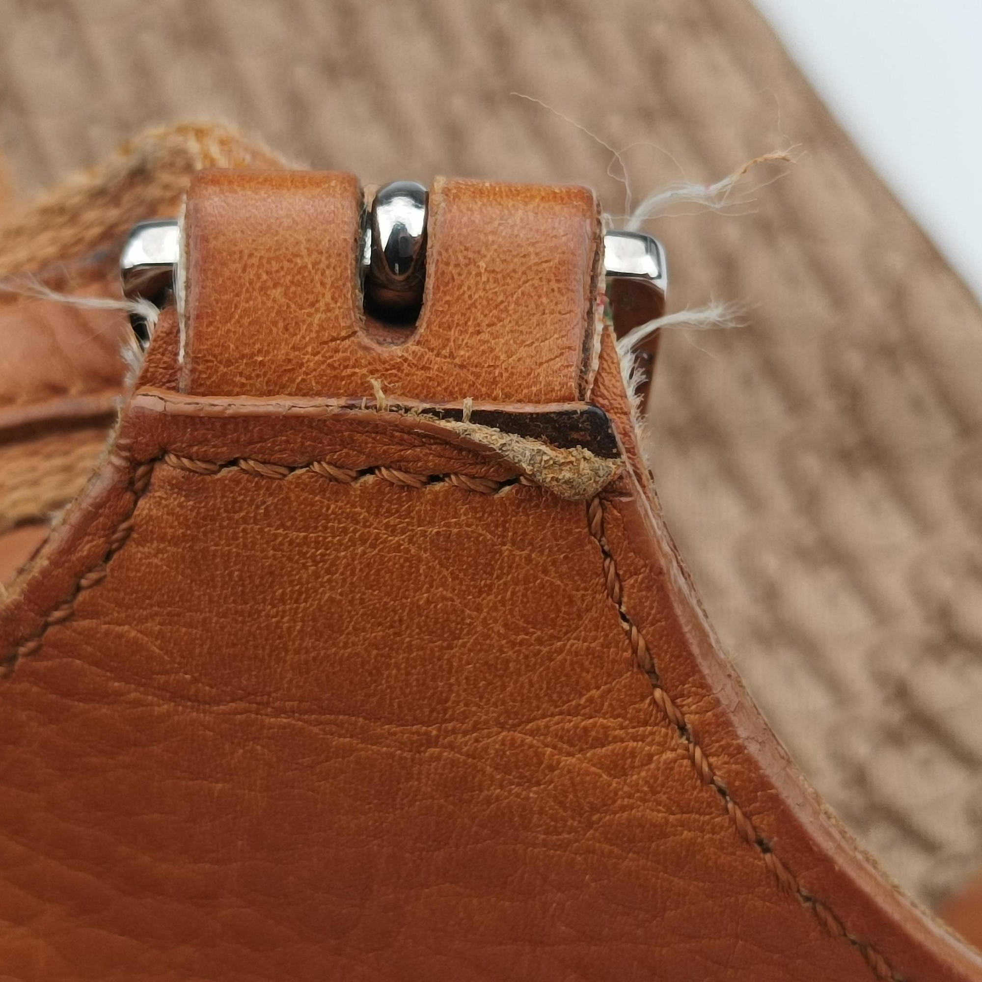 Pre-owned Christian Dior Street Chic Trotter Brown×Beige Canvas×Leather  handbag | stylenewstar