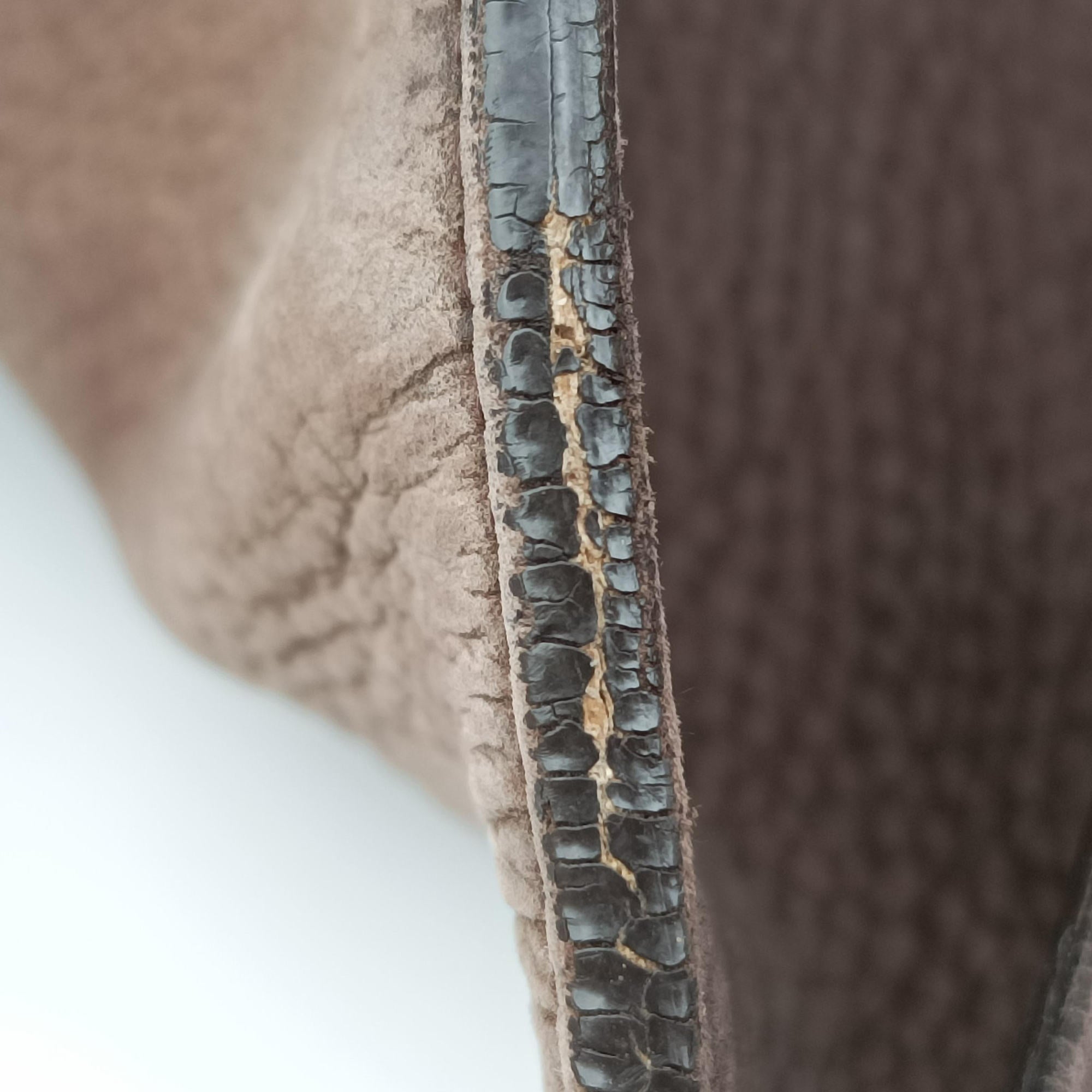 Pre-owned Gucci Ribot Horse Head Flap Brown Suede 296881 shoulderbag | stylenewstar
