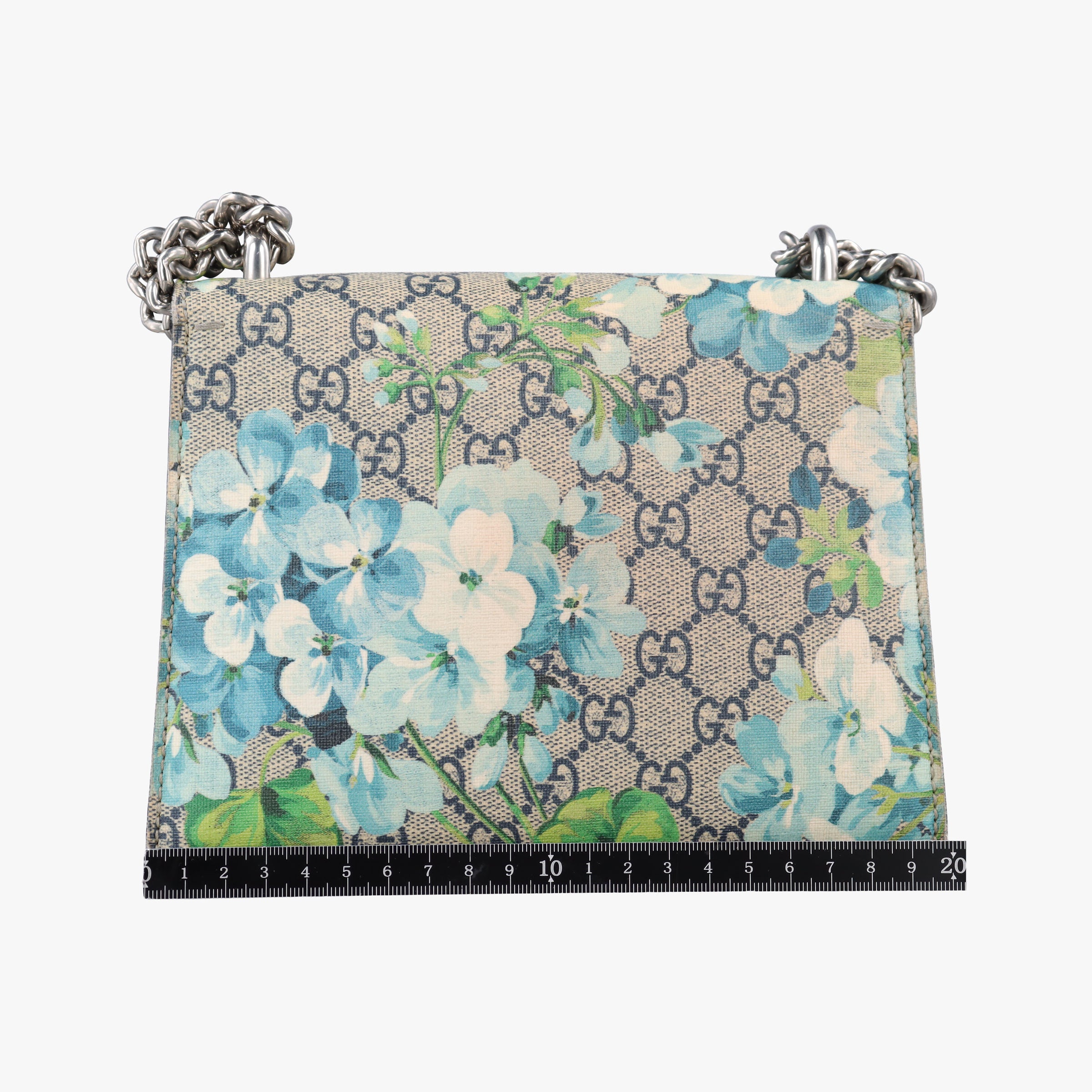 Secondhand Gucci Dionysus Beige×blue×Multicolour PVC coated canvas × suede 421970 shoulderbag | stylenewstar