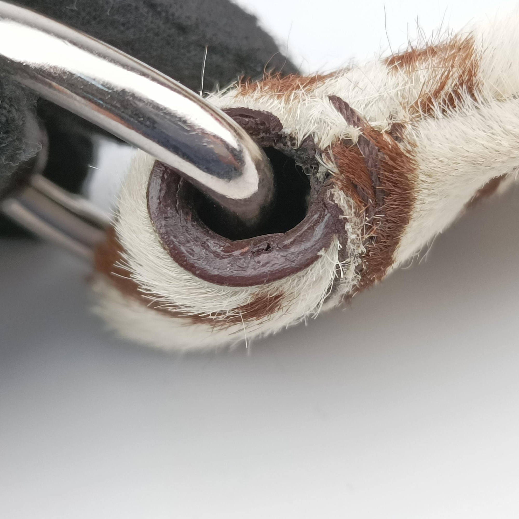 Vintage Prada AnimalierZebra Print Brown×White Moro Pony Hair  shoulderbag | stylenewstar