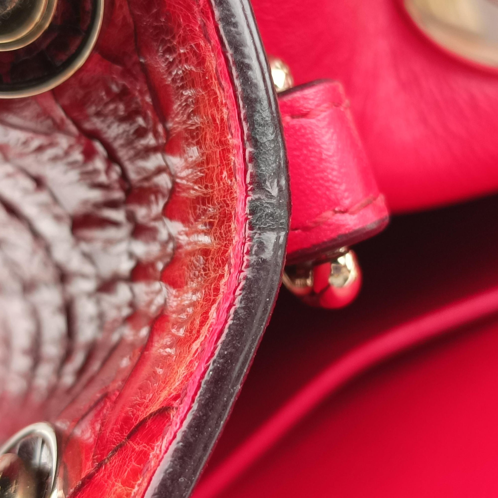 Pre-owned Christian Dior Diorissimo Red Leather× snake skin  shoulderbag | stylenewstar