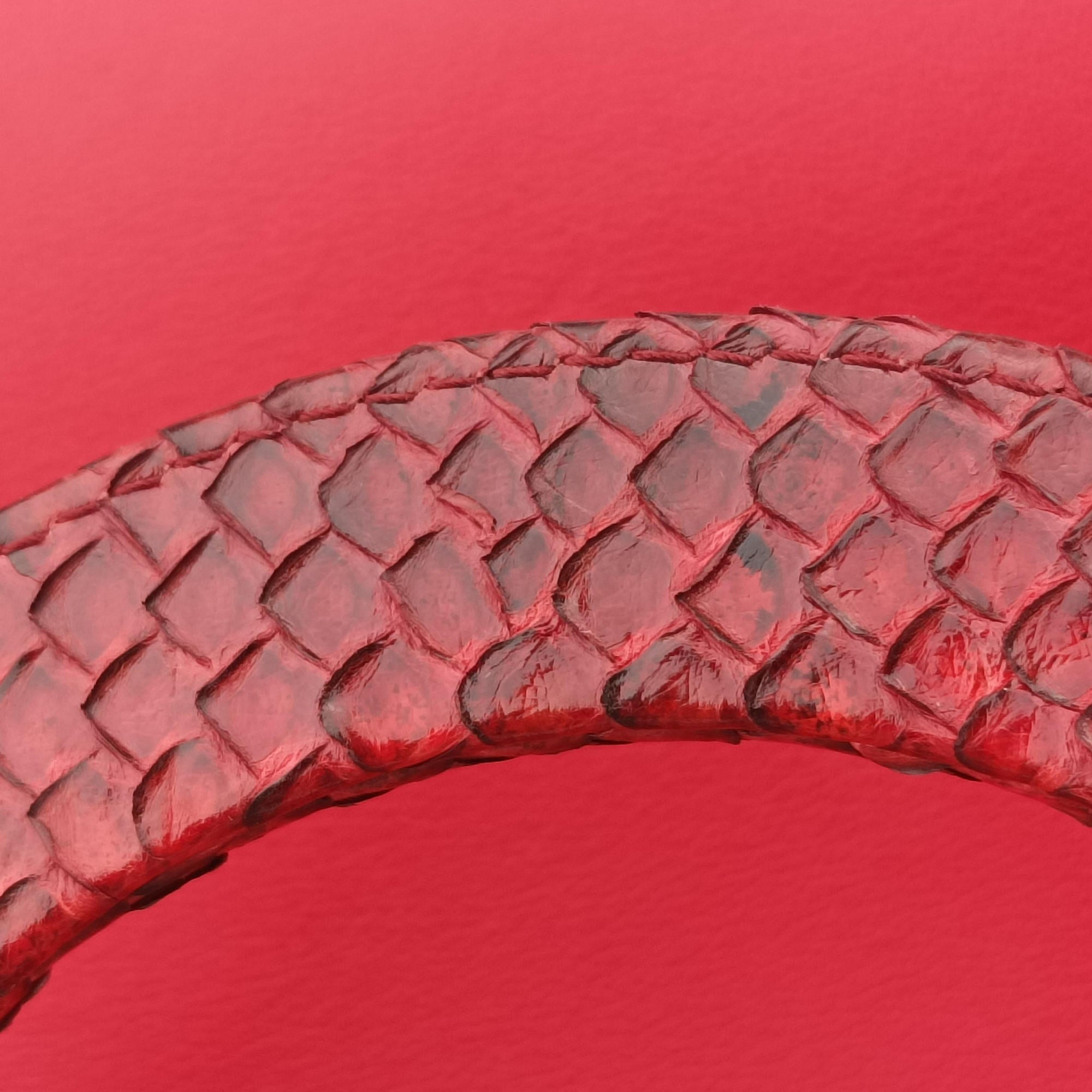 Pre-owned Christian Dior Diorissimo Red Leather× snake skin  shoulderbag | stylenewstar