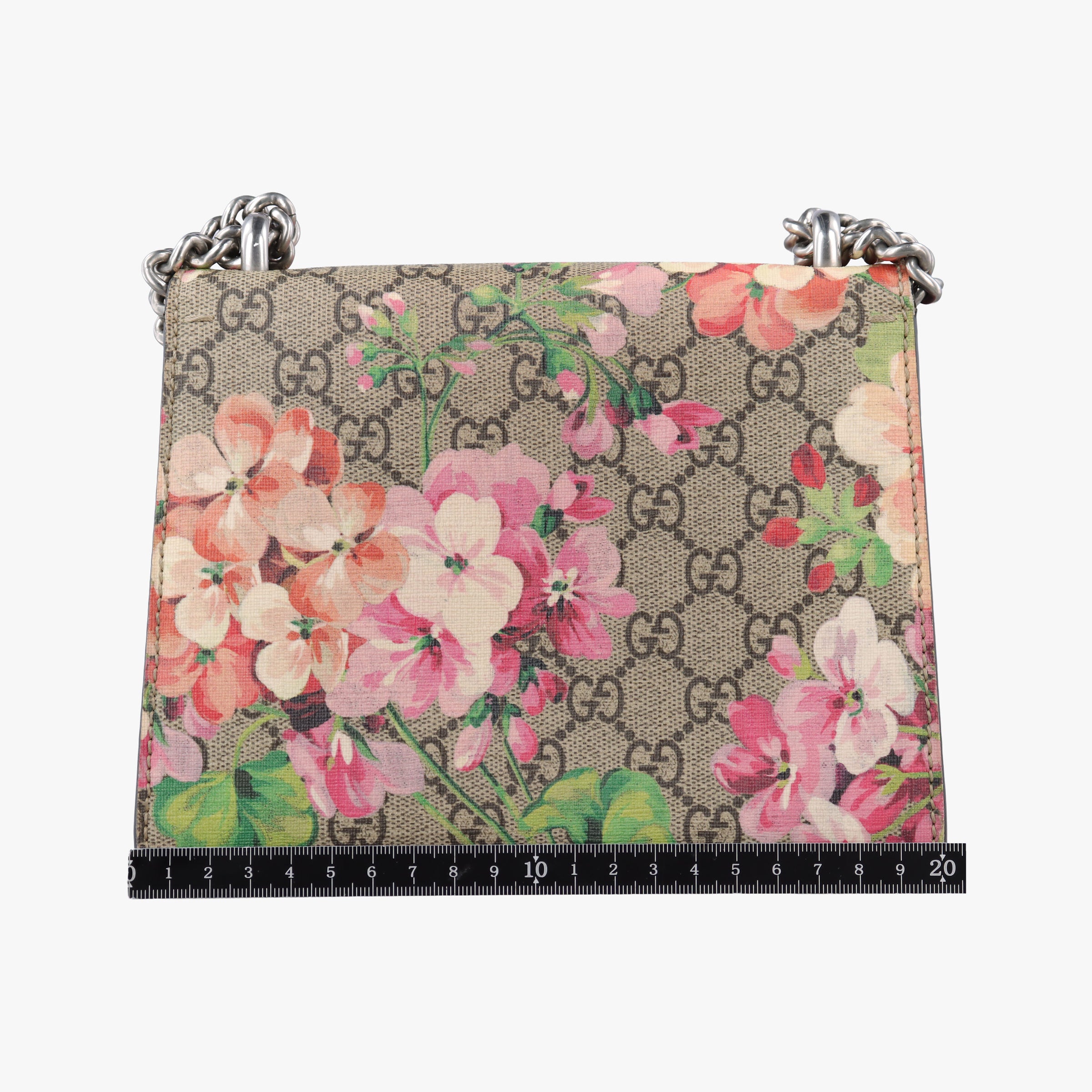 Pre-owned Gucci Dionysus Beige×red×Multicolour PVC coated canvas × suede 421970 shoulderbag | stylenewstar