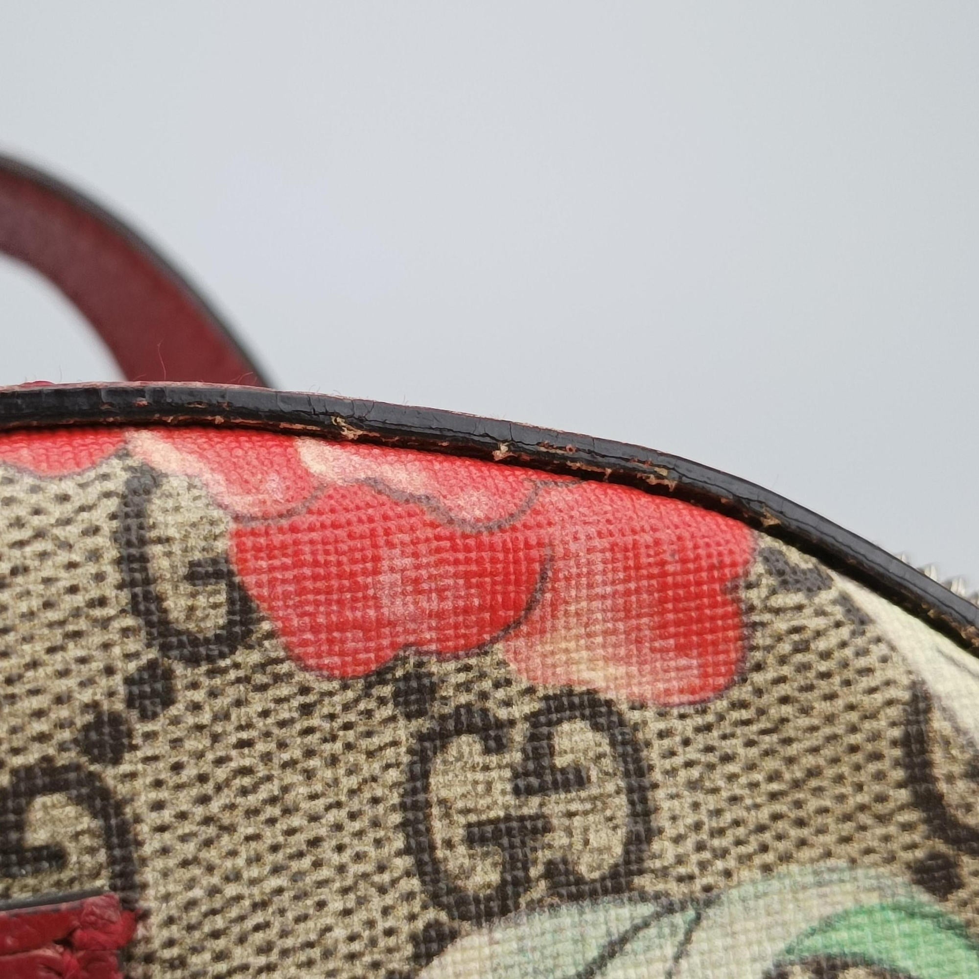 Pre-owned Gucci GG Supreme Tian Beige×Red×Multicolor PVC coated canvasxLeather 427042 backpack/rucksack | stylenewstar