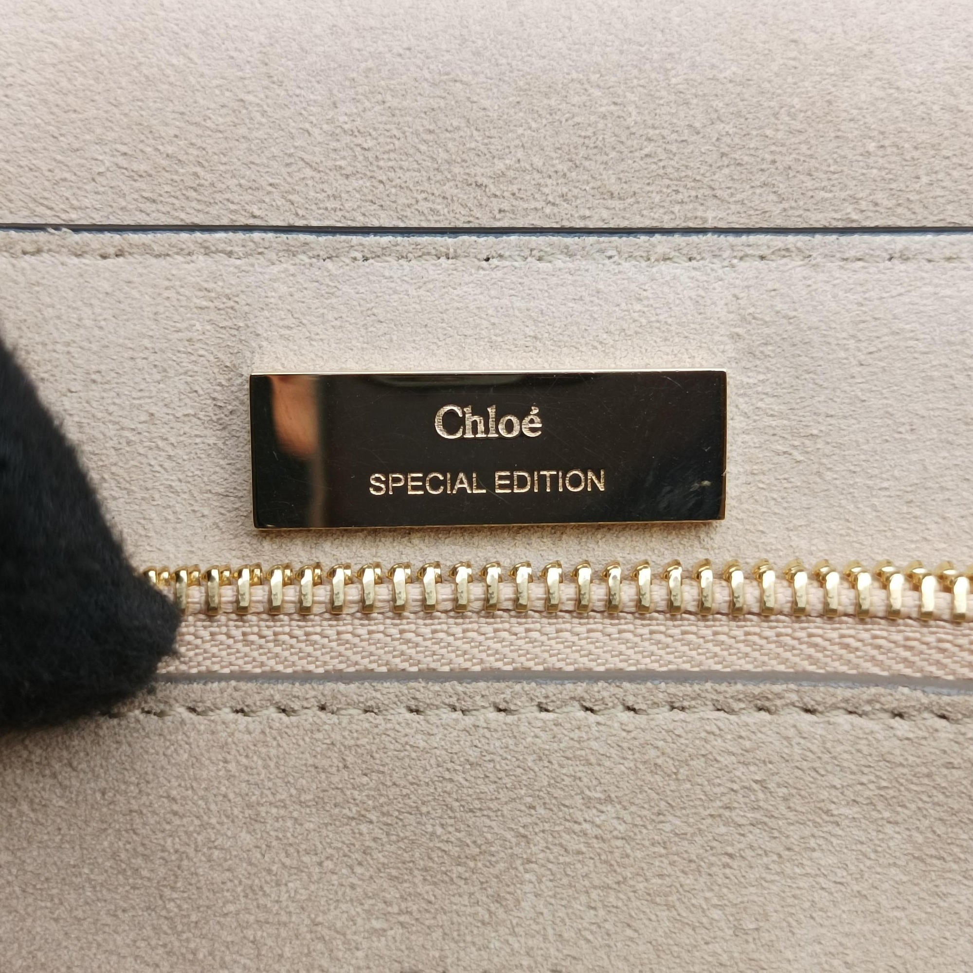 Pre-owned Chloe FAYE Black×multicolor Leather  shoulderbag | stylenewstar