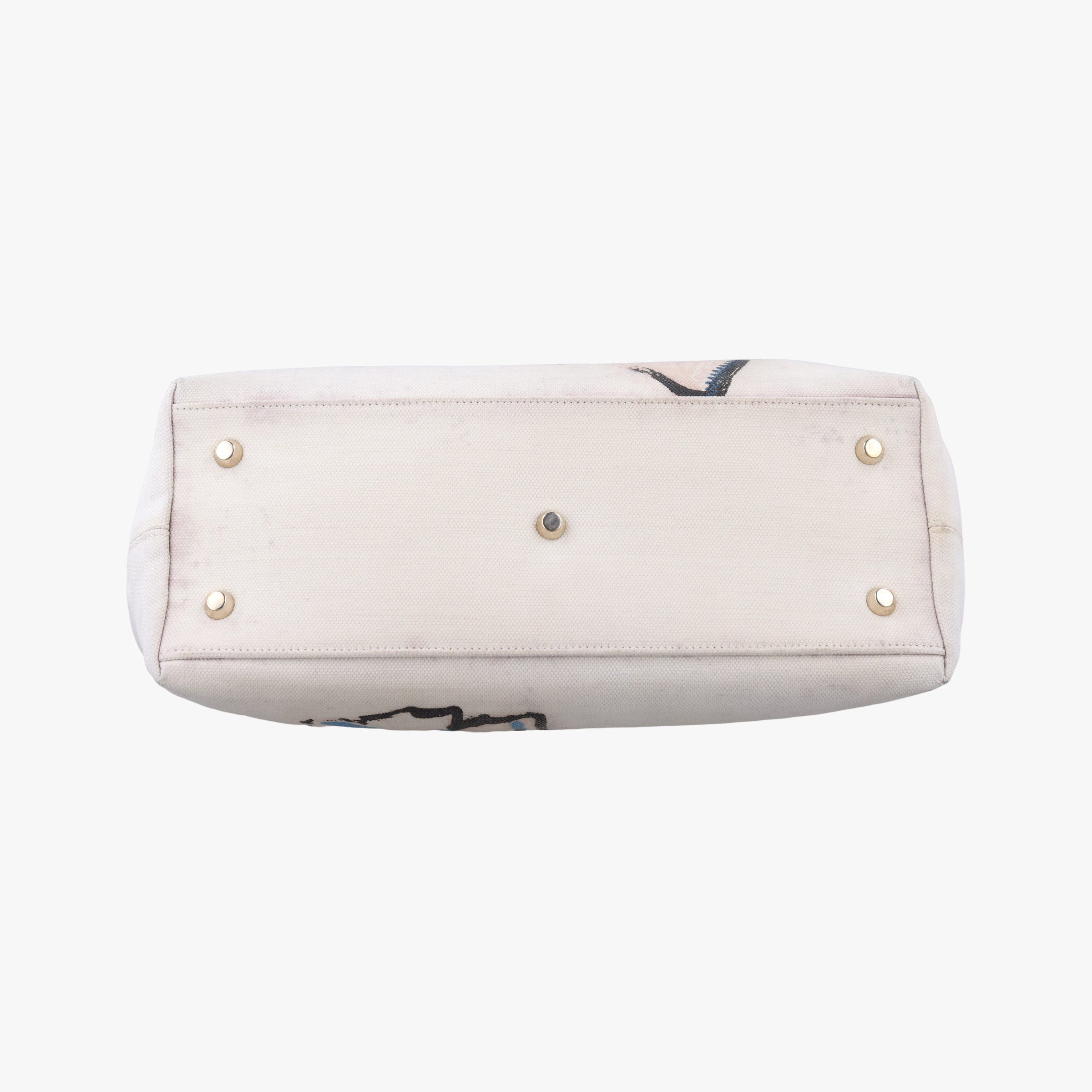 Secondhand Christian Dior Diorissimo White×multicolor Canvas  handbag | stylenewstar
