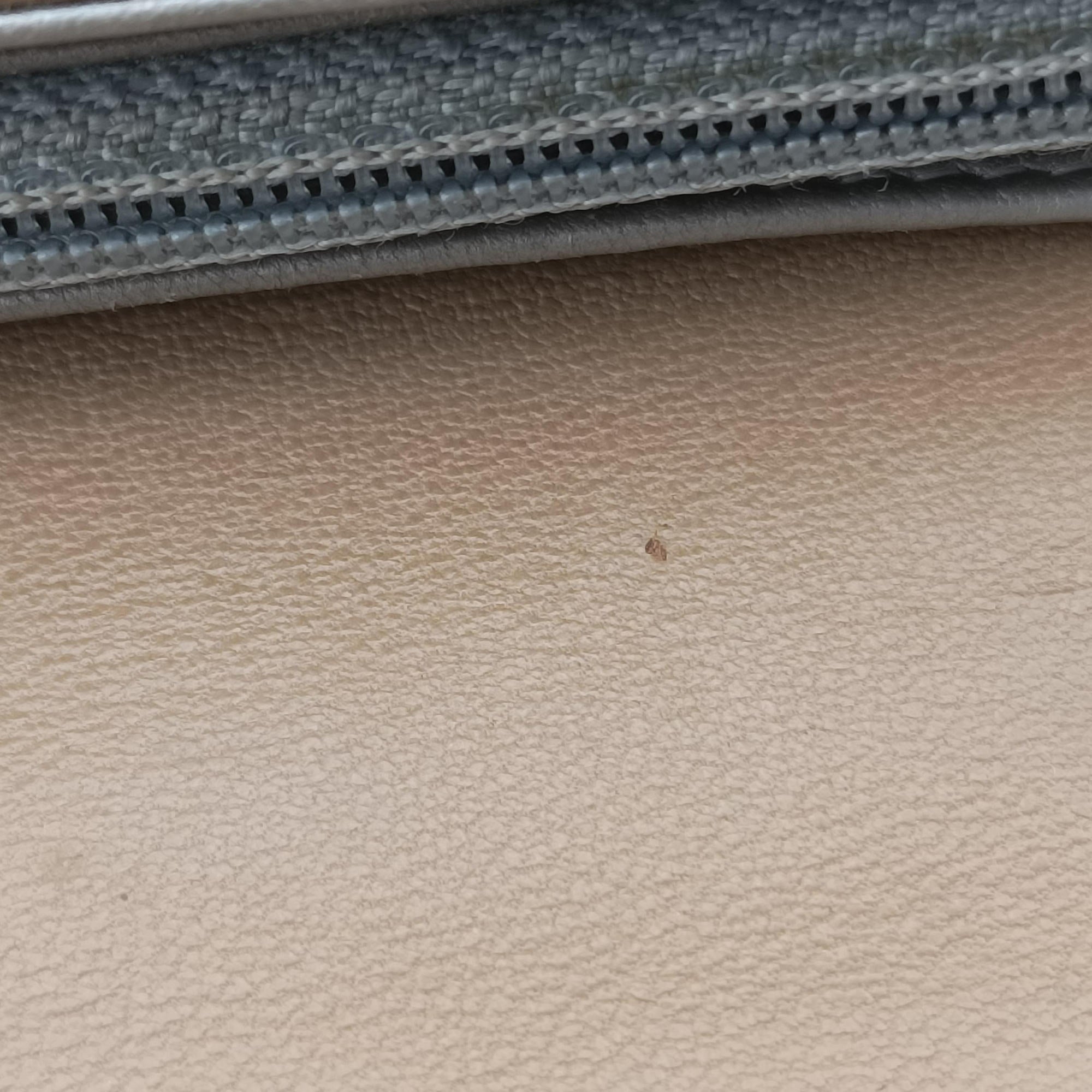 Pre-owned Chanel camellia Camel lambskin A50084 long-wallet | stylenewstar