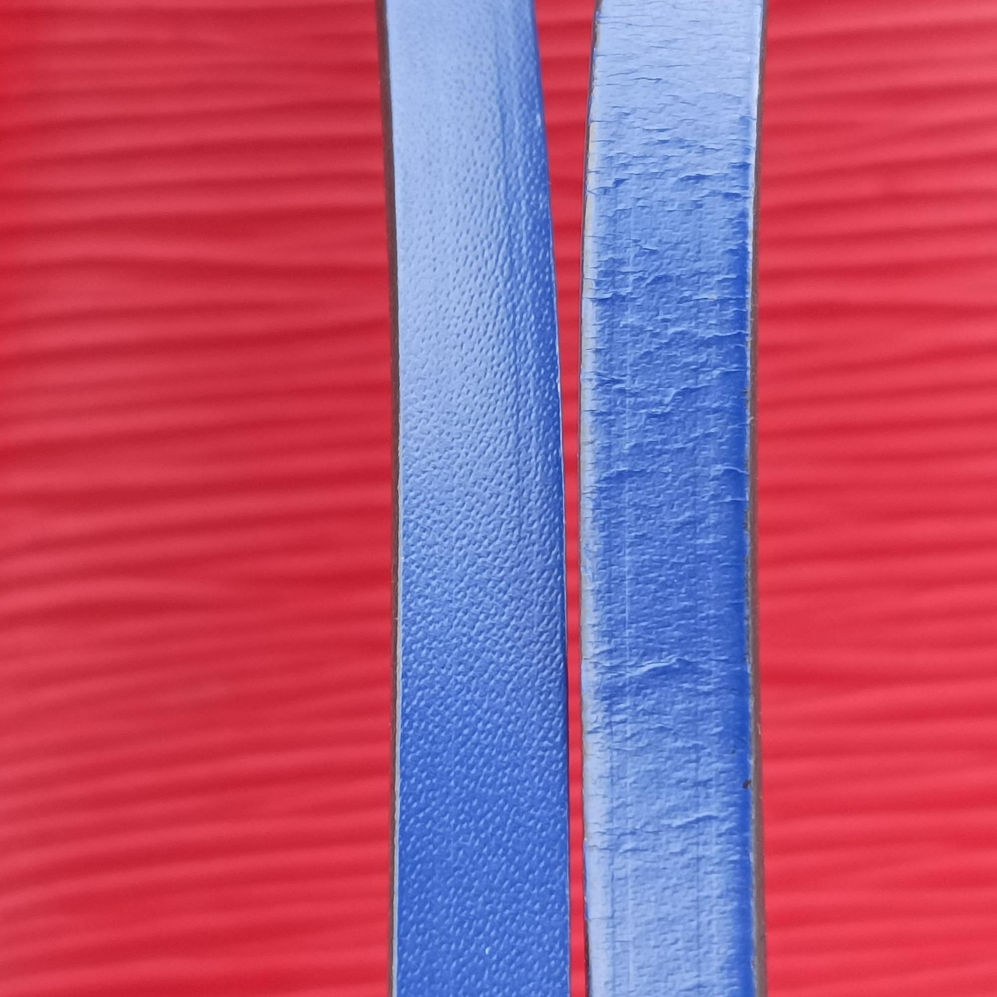 Pre-owned Louis Vuitton NéONOé COQUELICOT×Blue Epi M54365 shoulderbag | stylenewstar