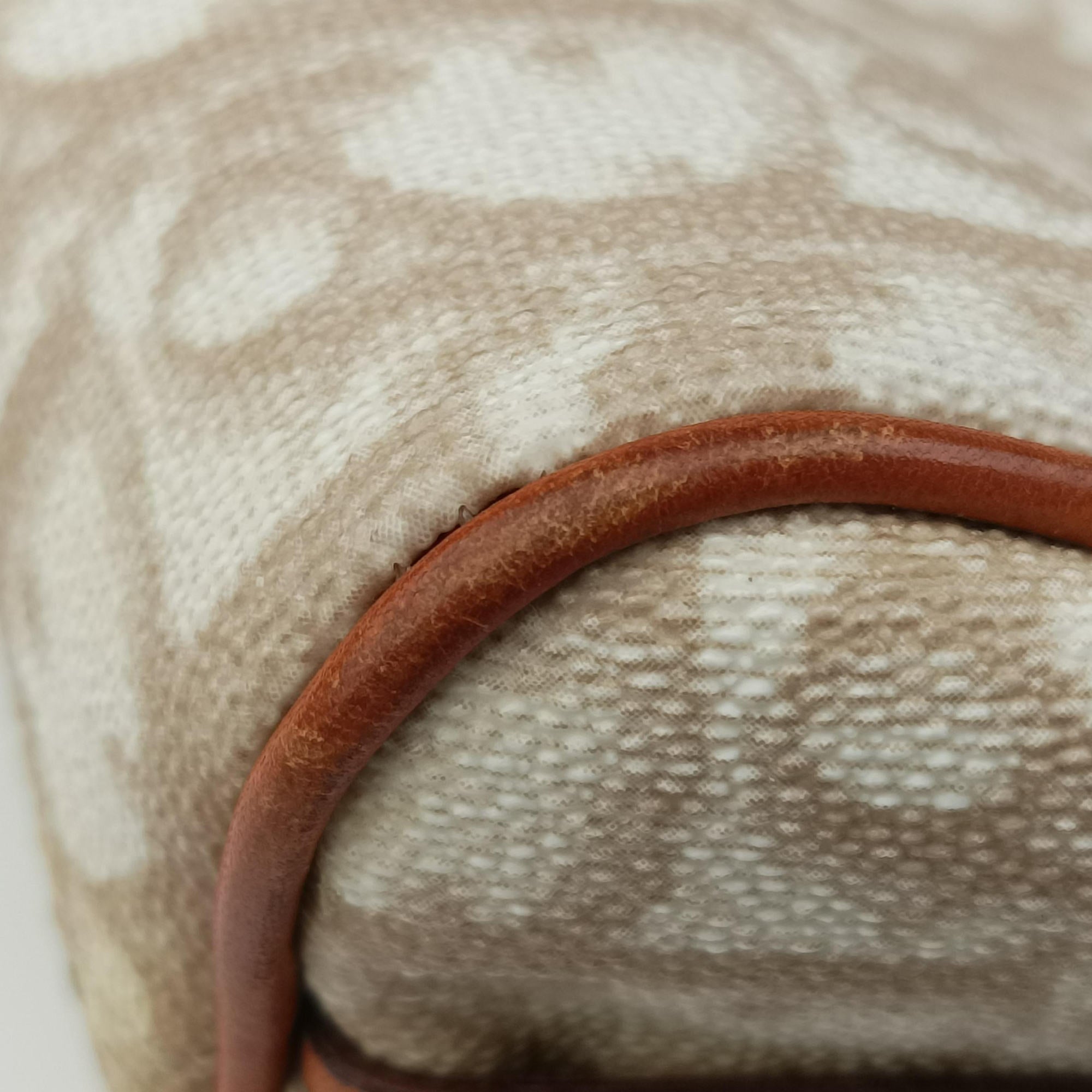 Pre-owned Christian Dior Trotter Romantic Beige×brown PVC coated canvas×Leather  shoulderbag | stylenewstar