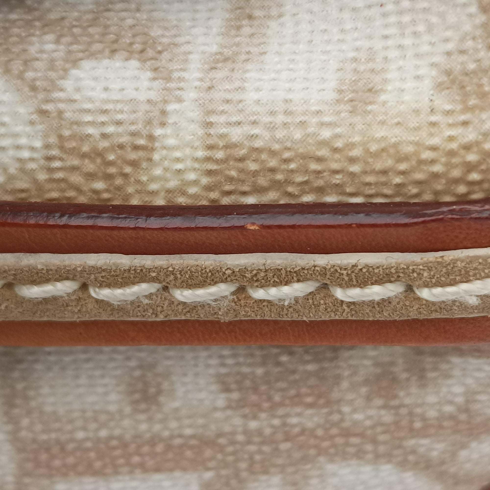 Pre-owned Christian Dior Trotter Romantic Beige×brown PVC coated canvas×Leather  shoulderbag | stylenewstar