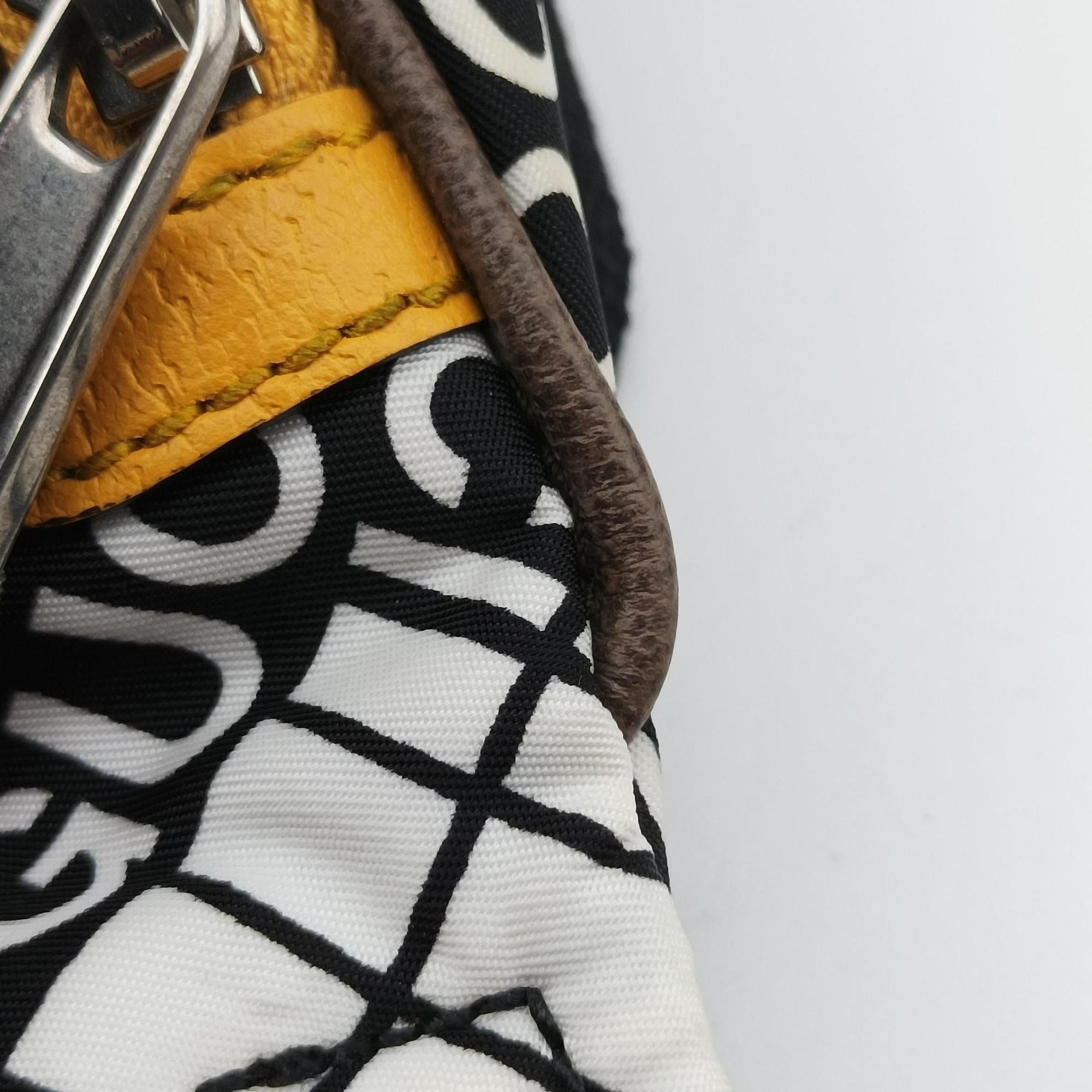 Pre-owned Gucci Gucci x The North Face Collaboration Multicolour Nylon×Leather 650299 bum bag/waist bag | stylenewstar