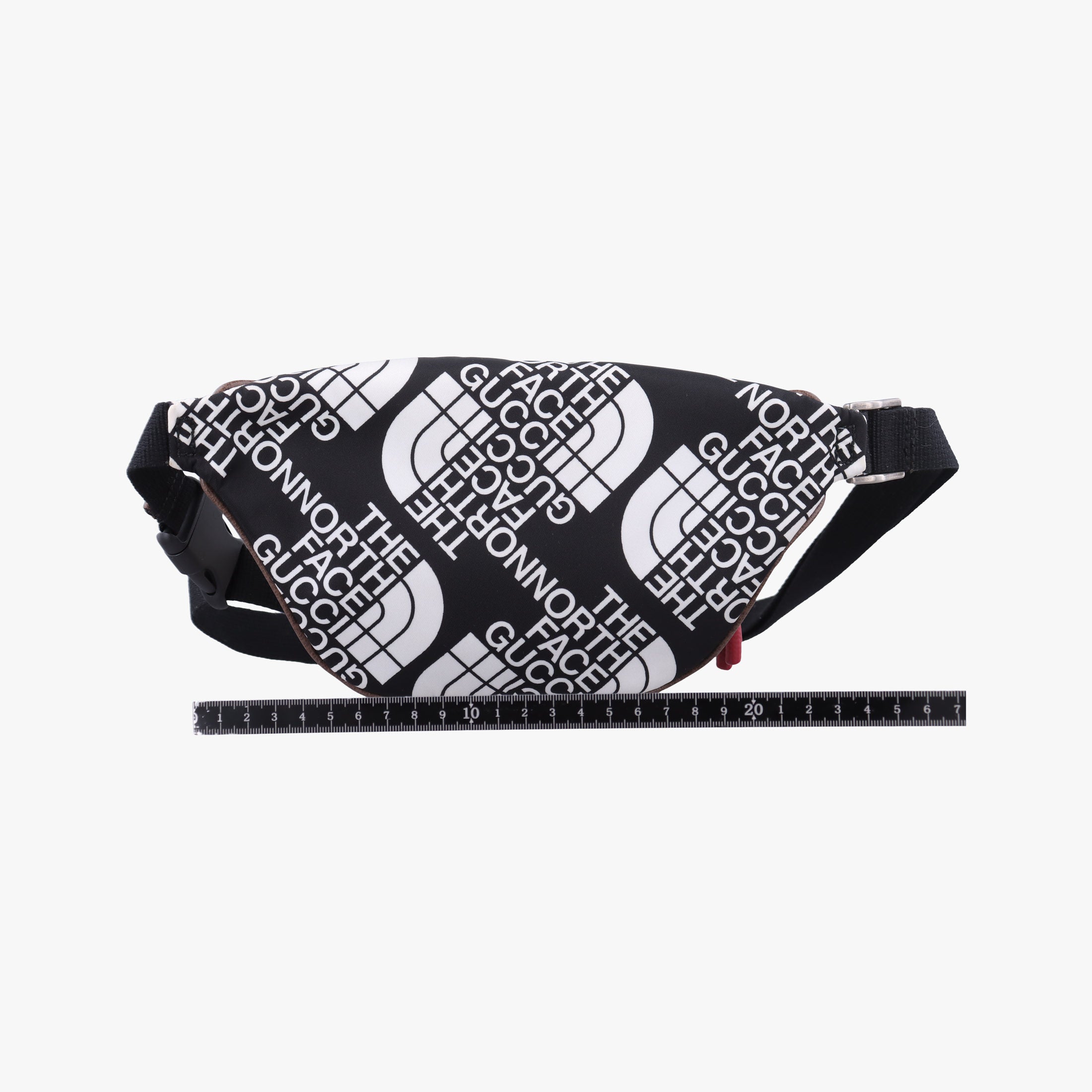 Pre-owned Gucci Gucci x The North Face Collaboration Multicolour Nylon×Leather 650299 bum bag/waist bag | stylenewstar