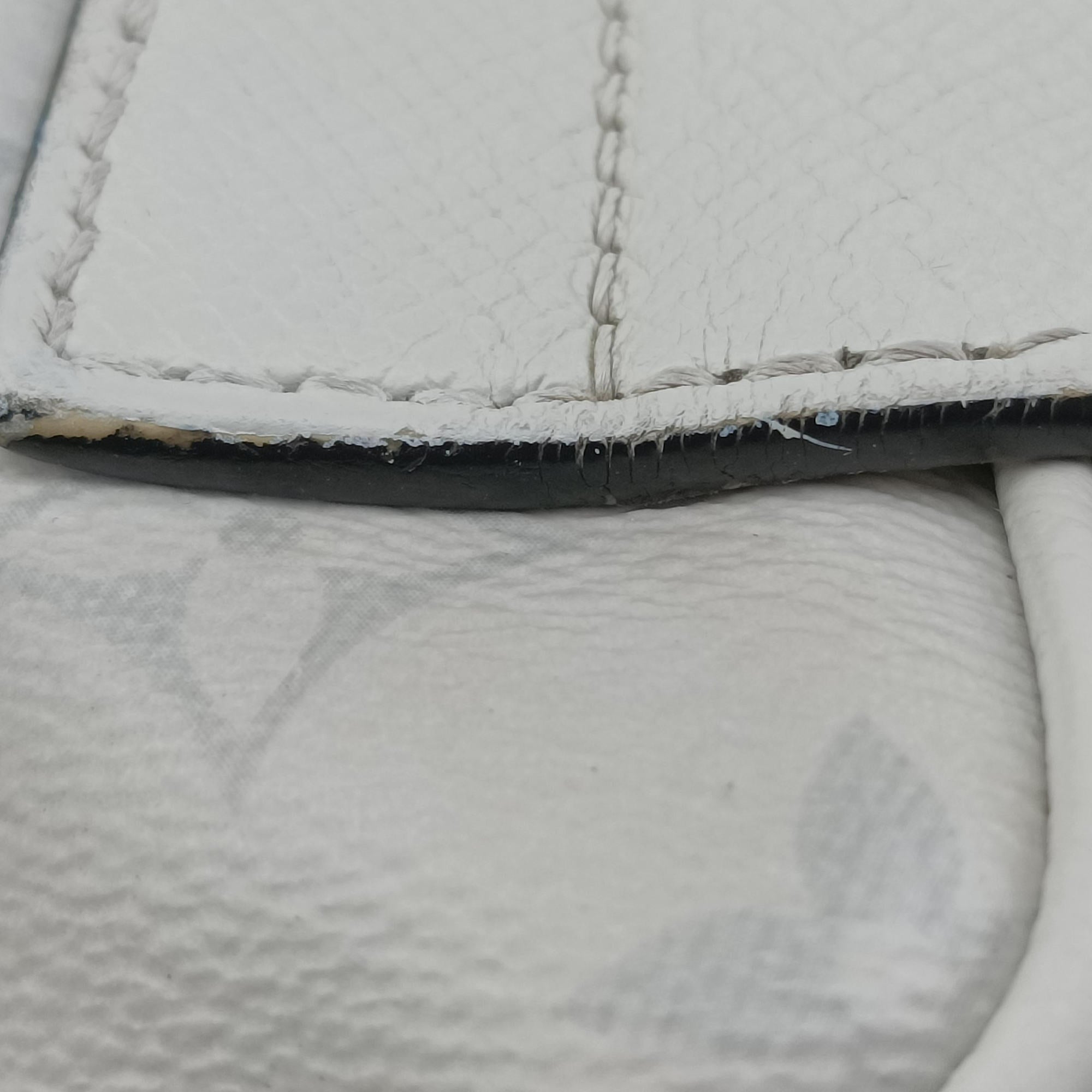 Secondhand Louis Vuitton Outdoor Taigarama Antarctica Taiga M30247 bum bag/waist bag | stylenewstar