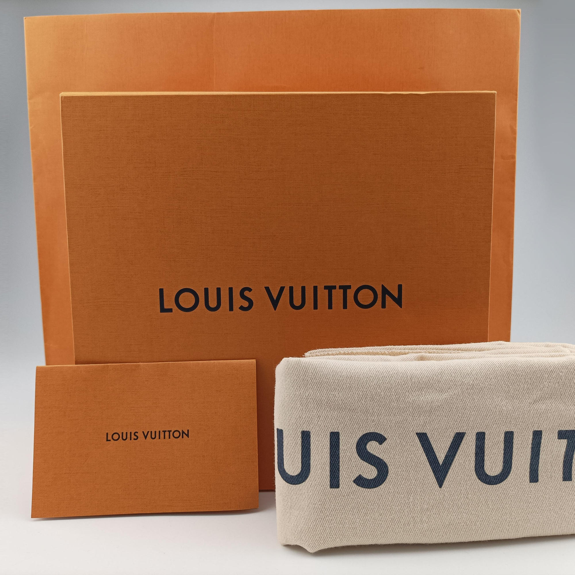 Secondhand Louis Vuitton Outdoor Taigarama Antarctica Taiga M30247 bum bag/waist bag | stylenewstar