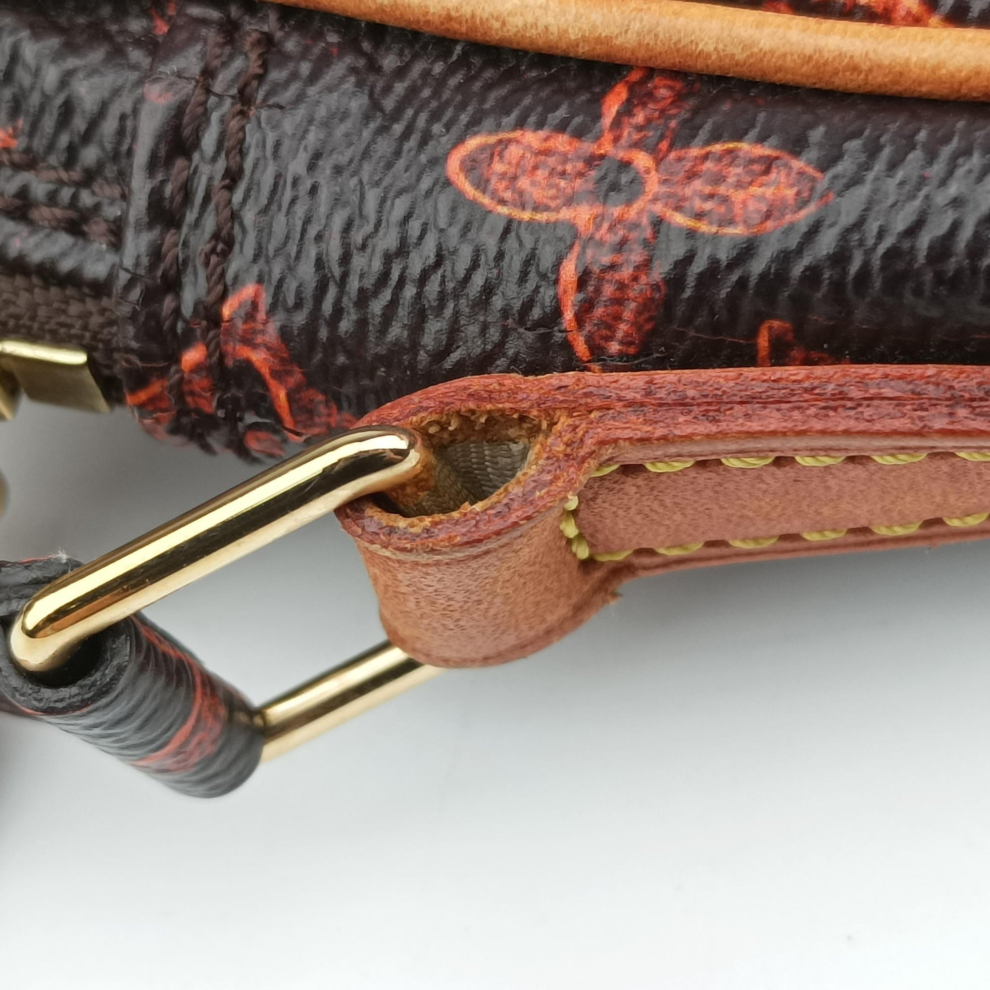 Pre-owned Louis Vuitton Catgram Panam Set brown×Multicolour Monogram canvas M44399 shoulderbag | stylenewstar