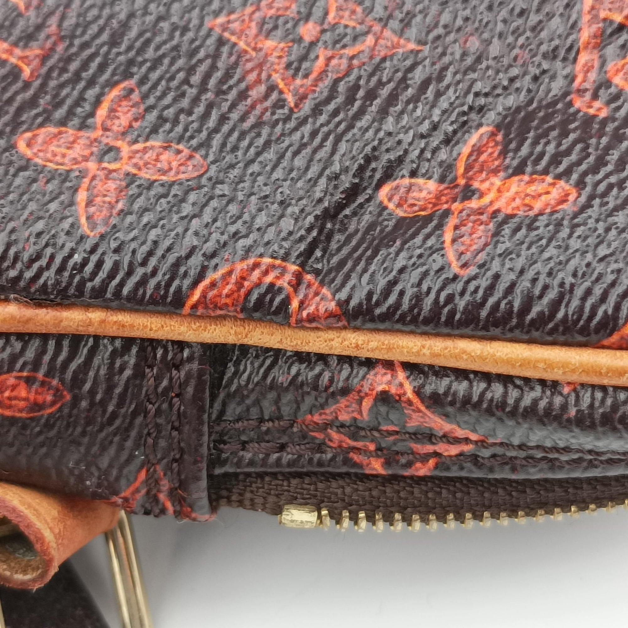 Pre-owned Louis Vuitton Catgram Panam Set brown×Multicolour Monogram canvas M44399 shoulderbag | stylenewstar