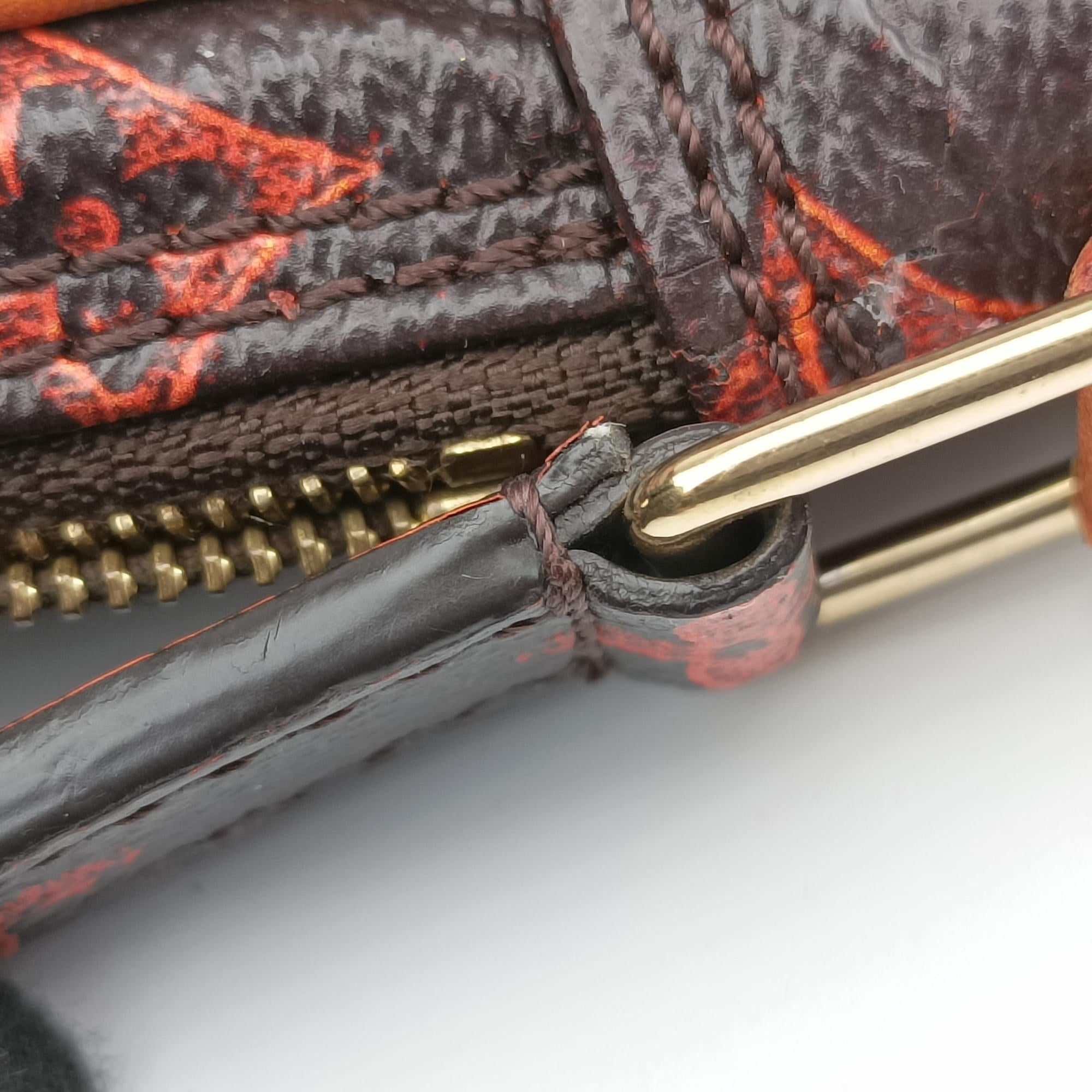 Pre-owned Louis Vuitton Catgram Panam Set brown×Multicolour Monogram canvas M44399 shoulderbag | stylenewstar