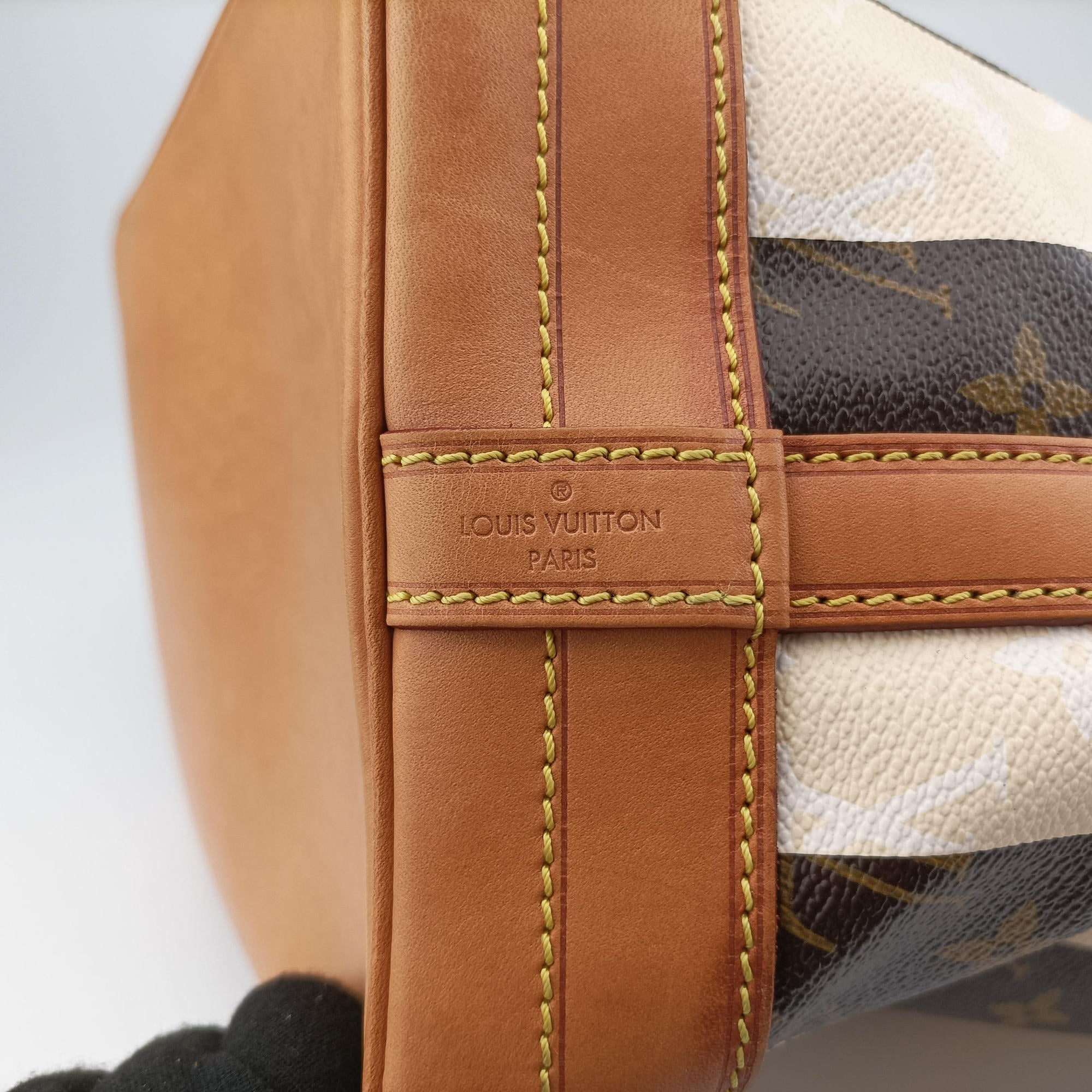 Pre-owned Louis Vuitton Noe Monogram Rayeur Monogram Canvas M40563 shoulderbag | stylenewstar