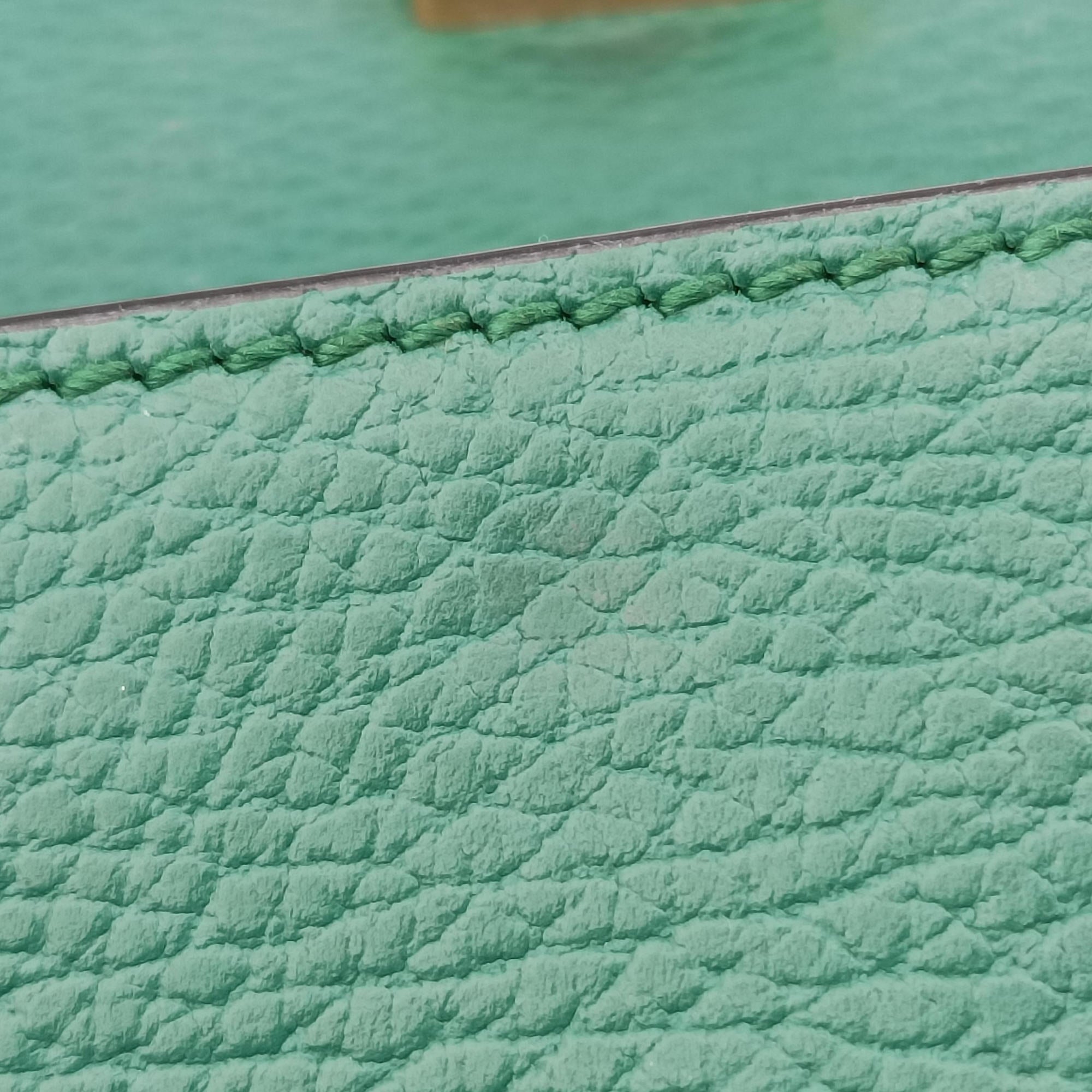 Pre-owned Gucci Dionysus Green Leather 421970 shoulderbag | stylenewstar