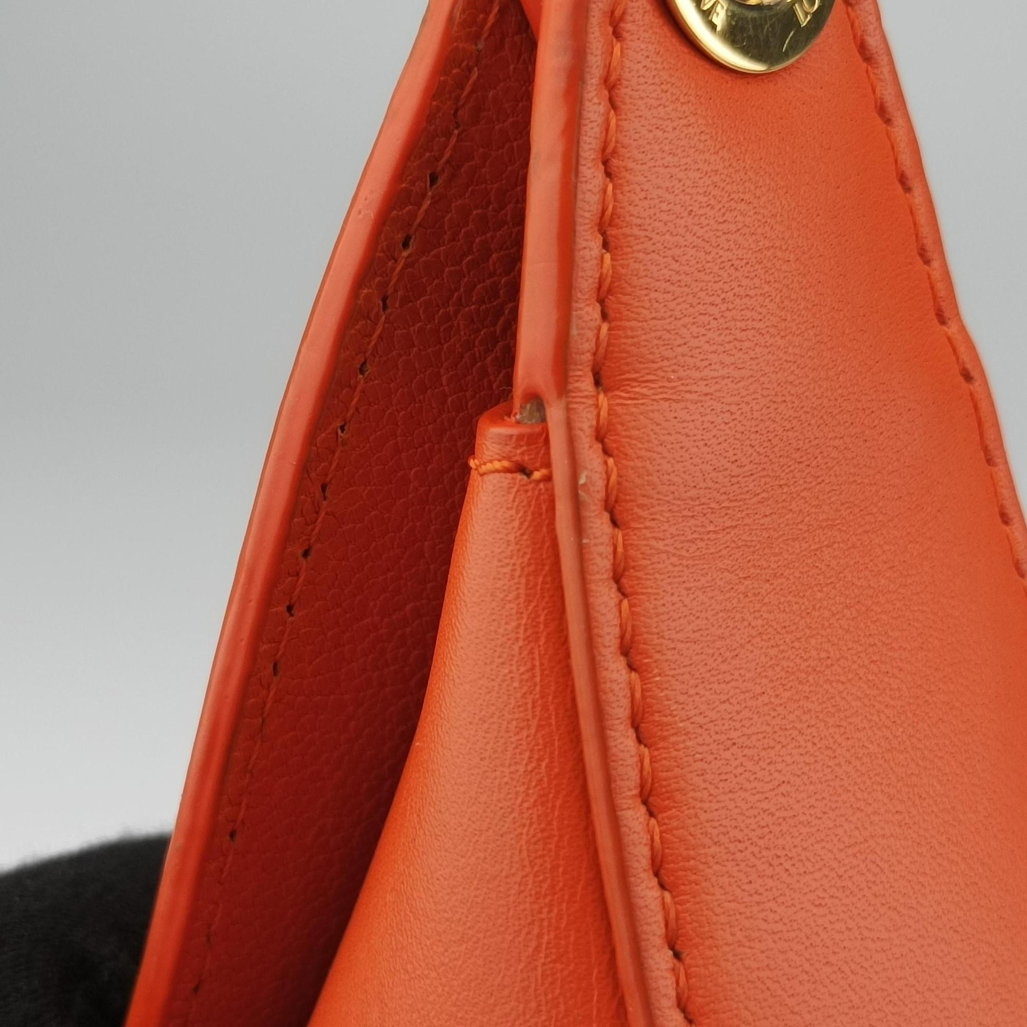 Pre-owned Loewe Luna Orange leather  shoulderbag | stylenewstar