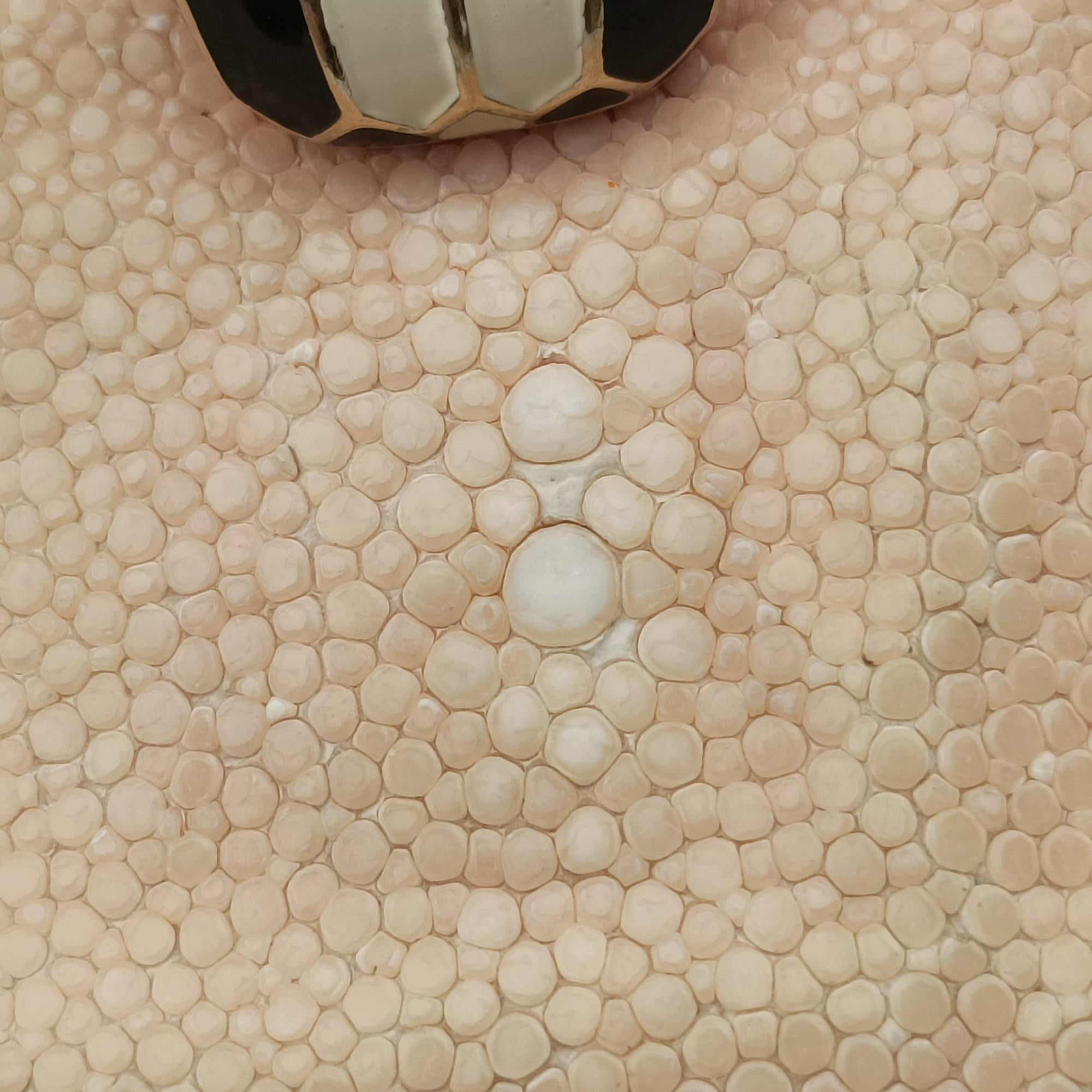 Pre-owned Bvlgari Serpenti Beige × Pink Galuchat Skin×Leather  shoulderbag | stylenewstar