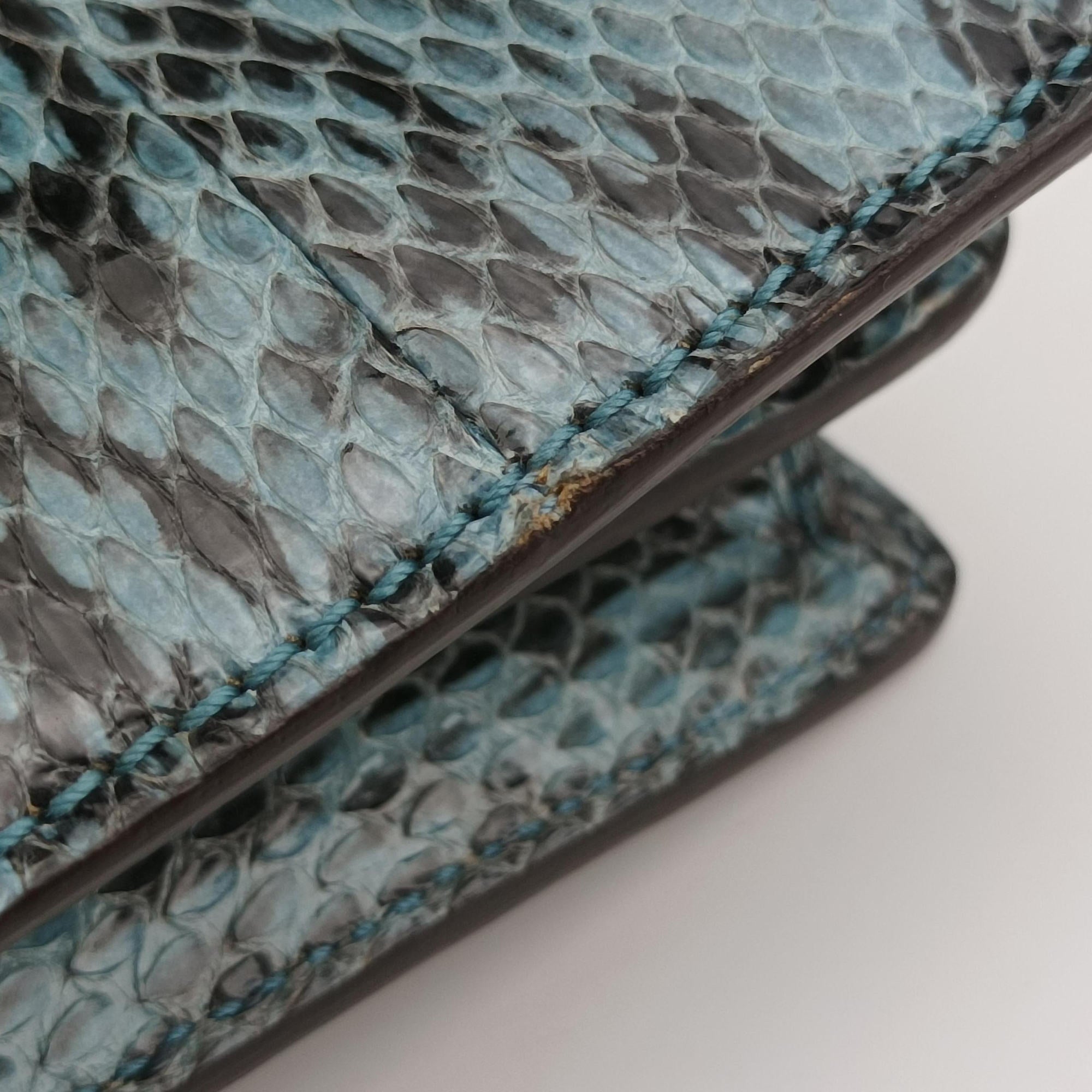 Pre-owned Gucci Dionysus Blue×Multicolour Snakeskin 481606 shoulderbag | stylenewstar