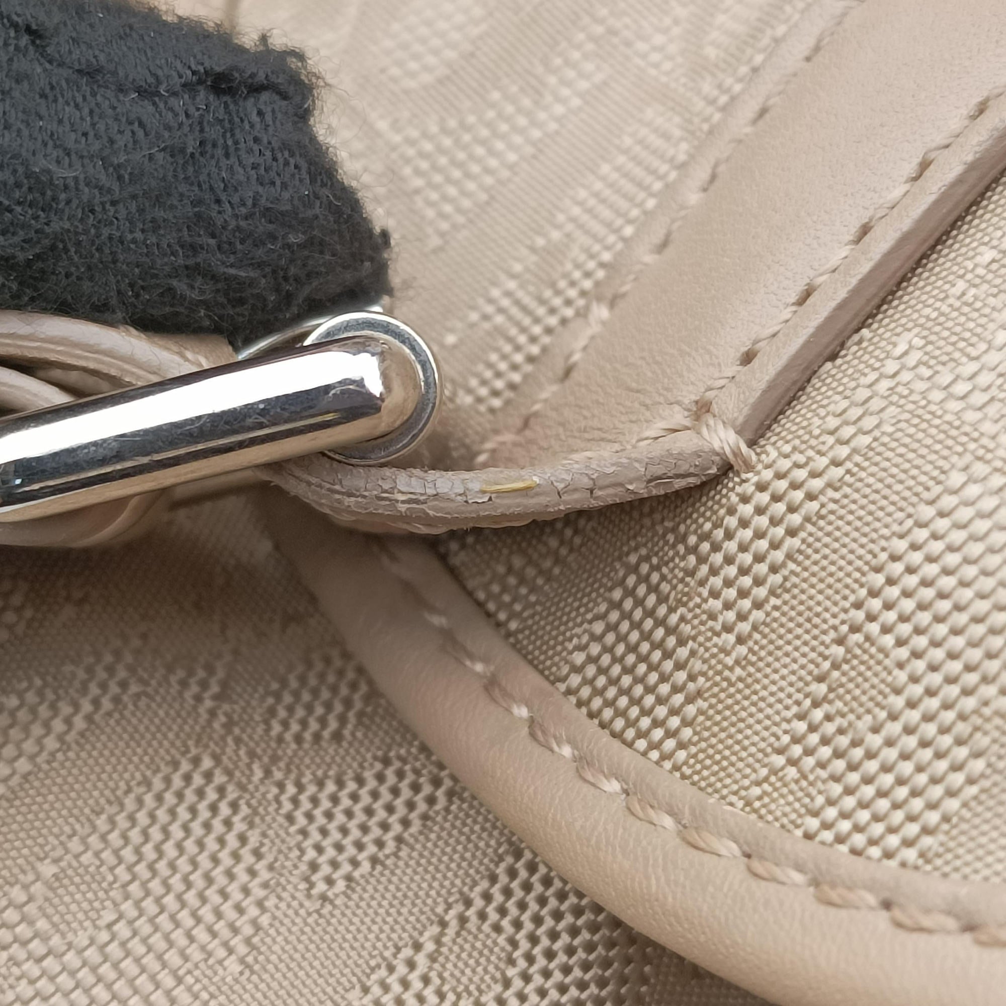 Pre-owned Christian Dior Lovely Trotter khaki Cotton Canvas × Leather  handbag | stylenewstar