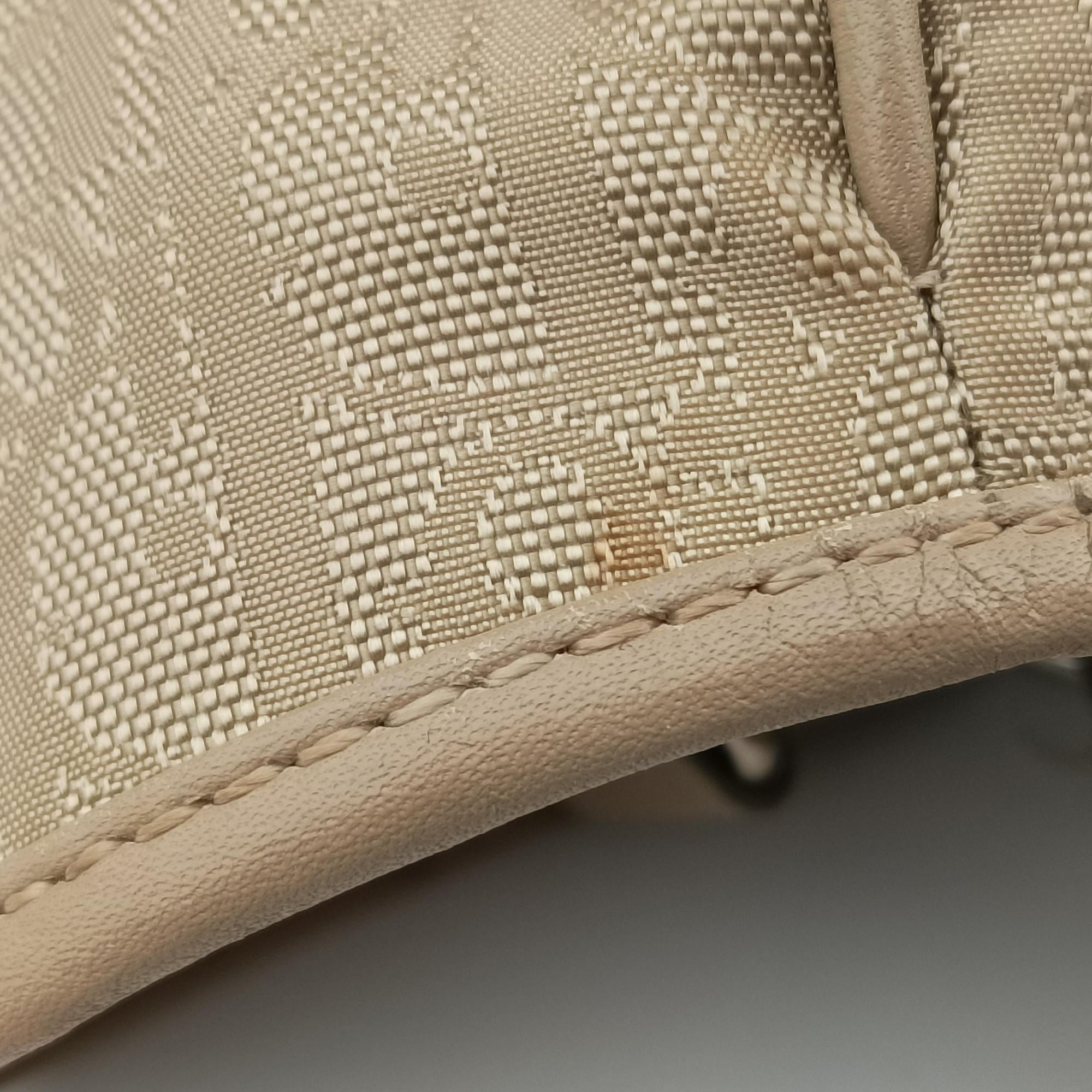 Pre-owned Christian Dior Lovely Trotter khaki Cotton Canvas × Leather  handbag | stylenewstar