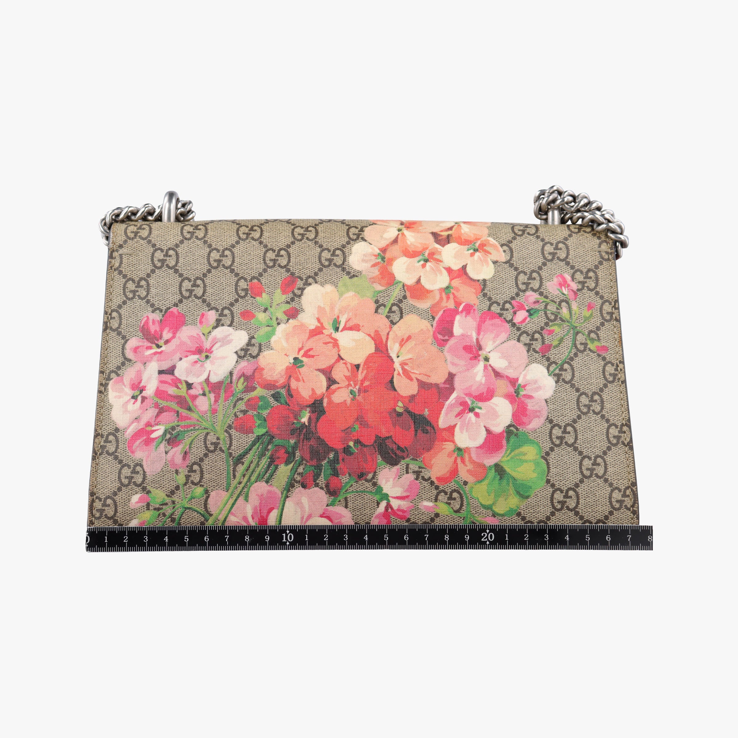 Pre-owned Gucci Dionysus beige×red×multicolor PVC coated canvas 400249 shoulderbag | stylenewstar