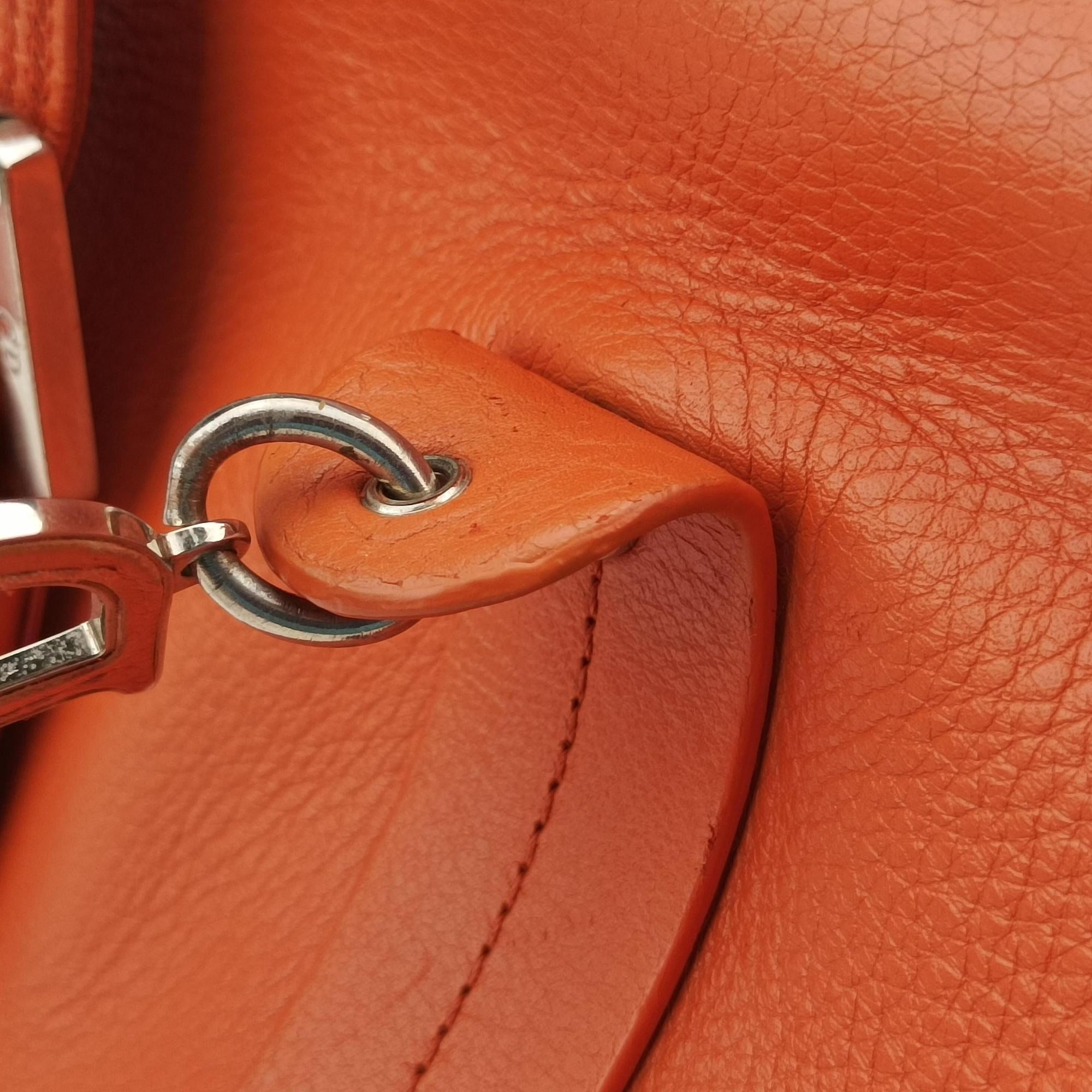 Pre-owned Christian Dior Detective Orange Leather  handbag | stylenewstar